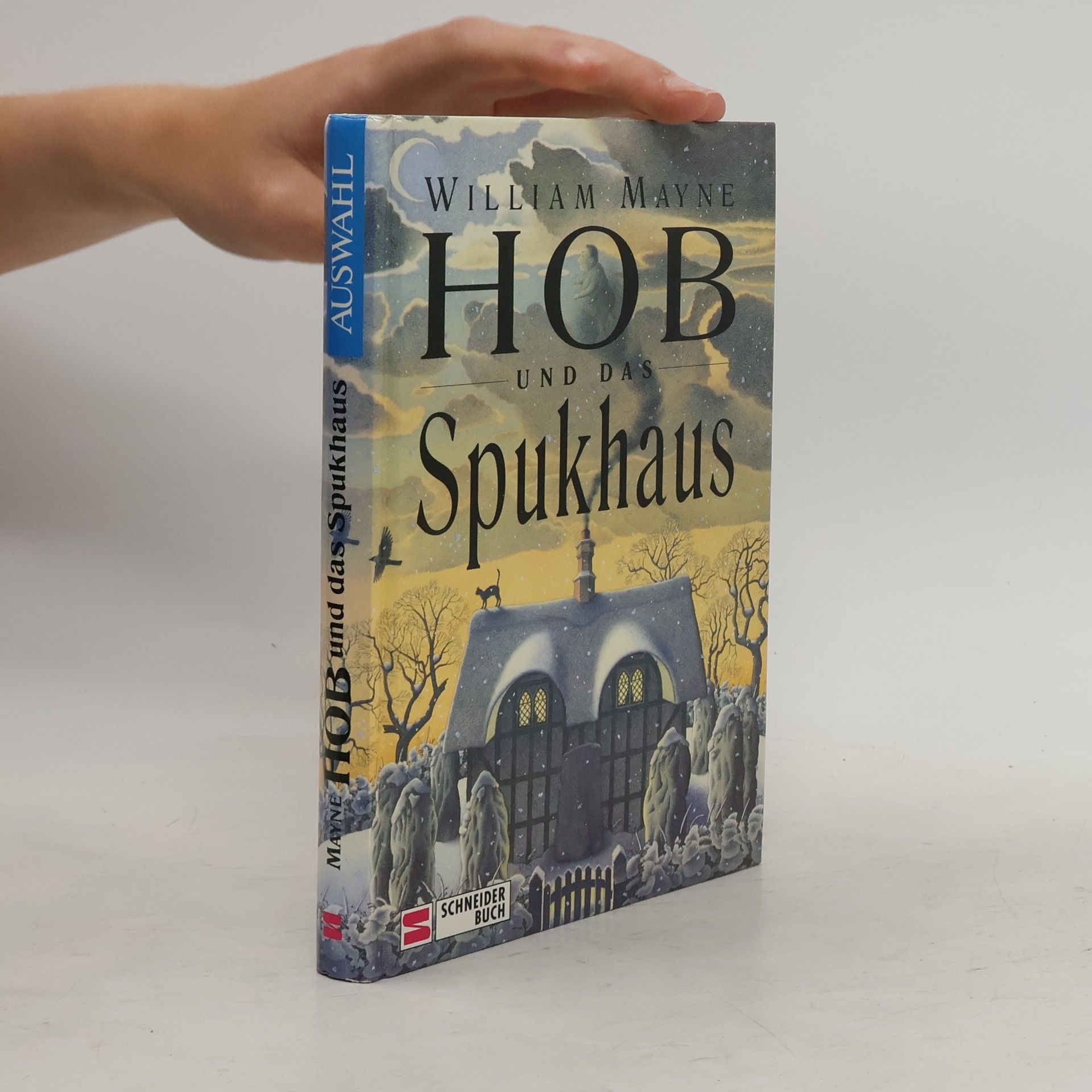 Hob und das Spukhaus