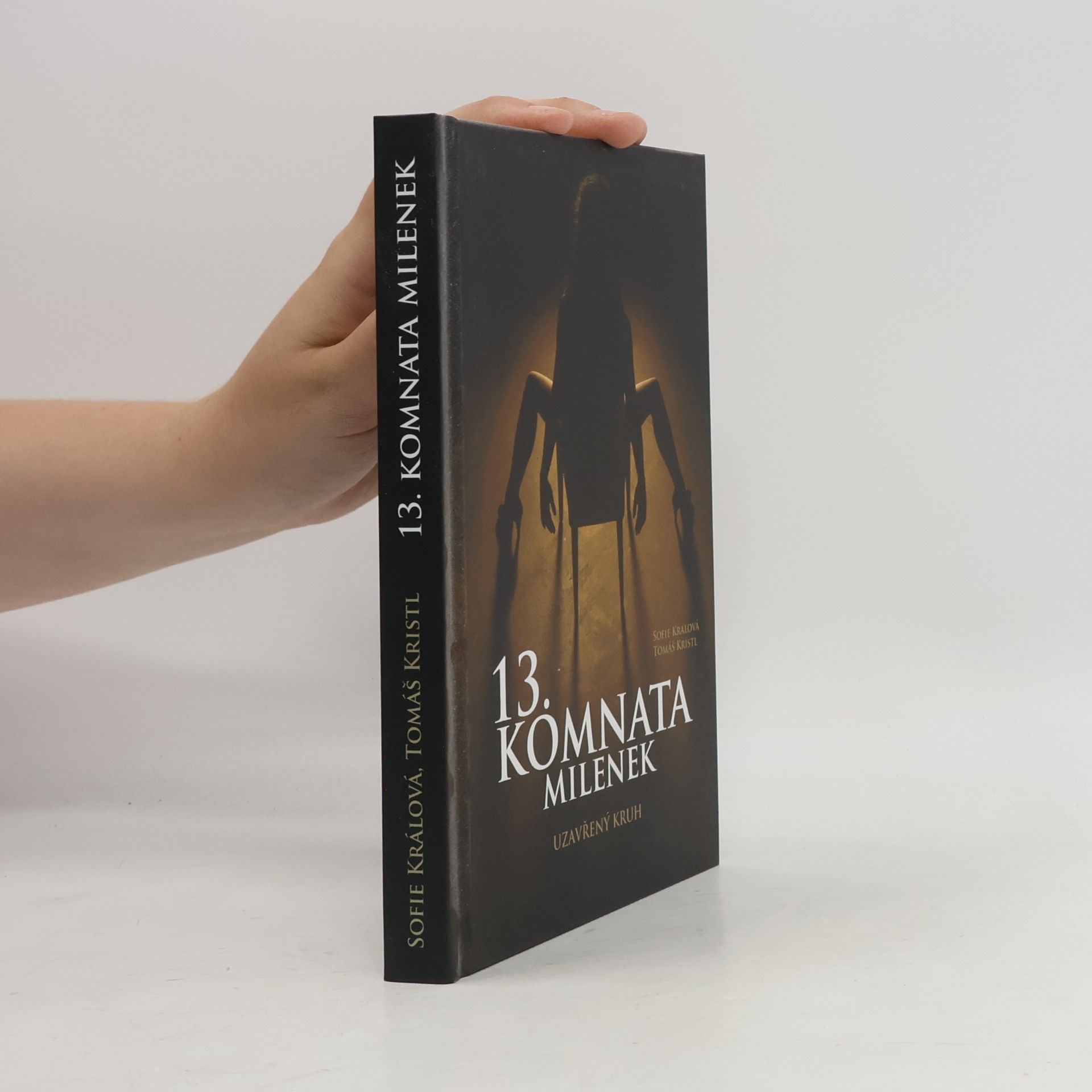 13. komnata milenek. Uzavřený kruh