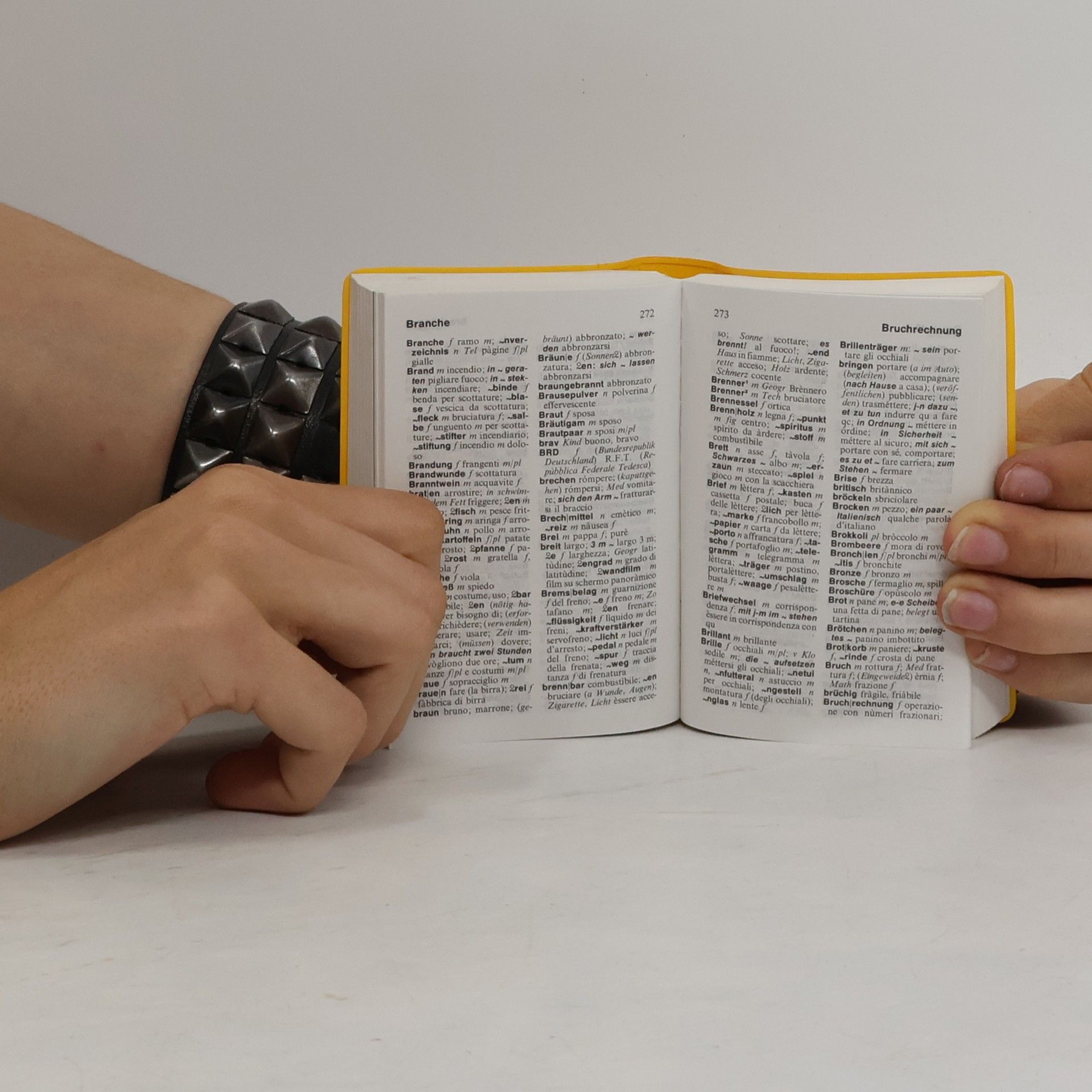 Langenscheidts Universal-Wörterbuch Italienisch