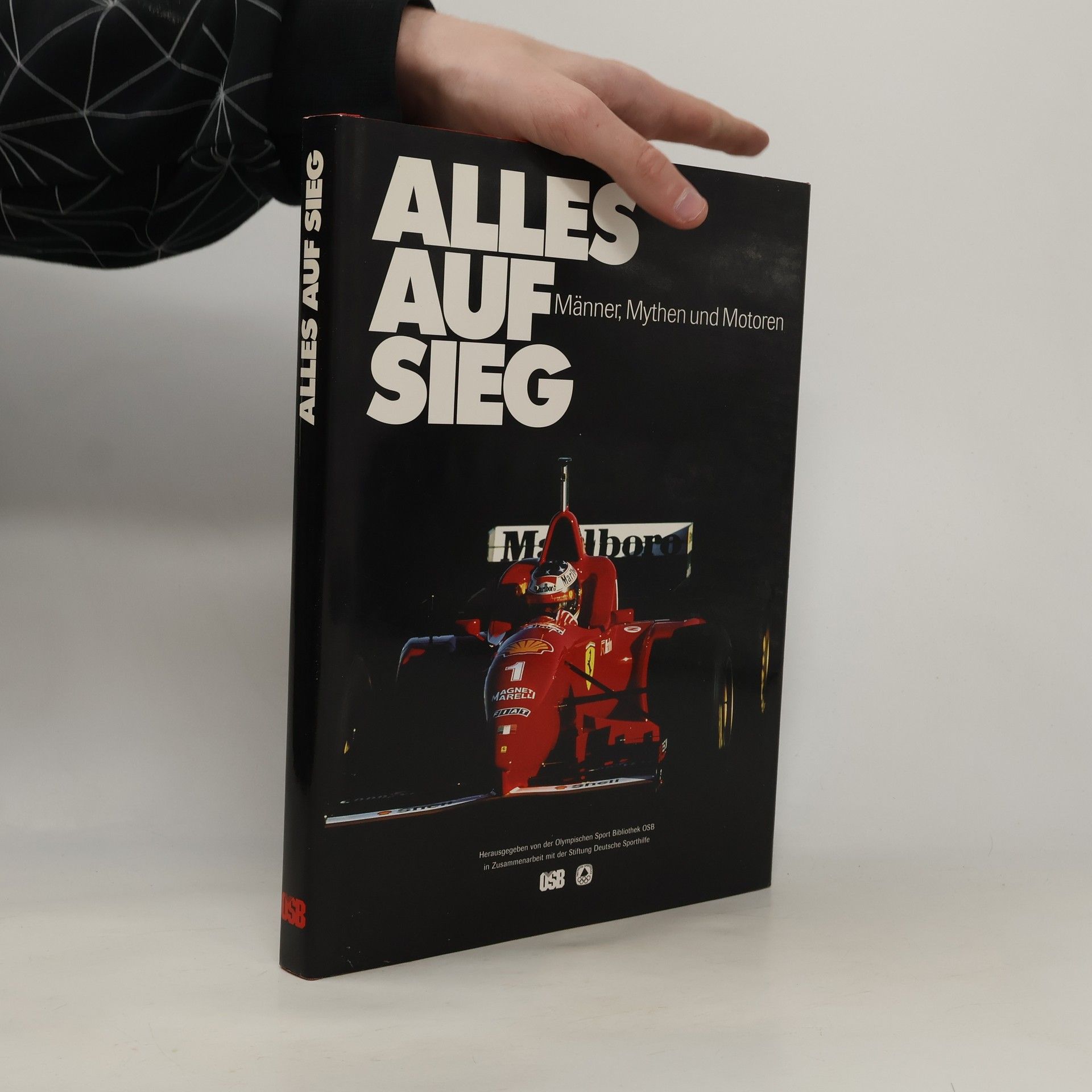 Kolektiv autorů Alles Auf Sieg