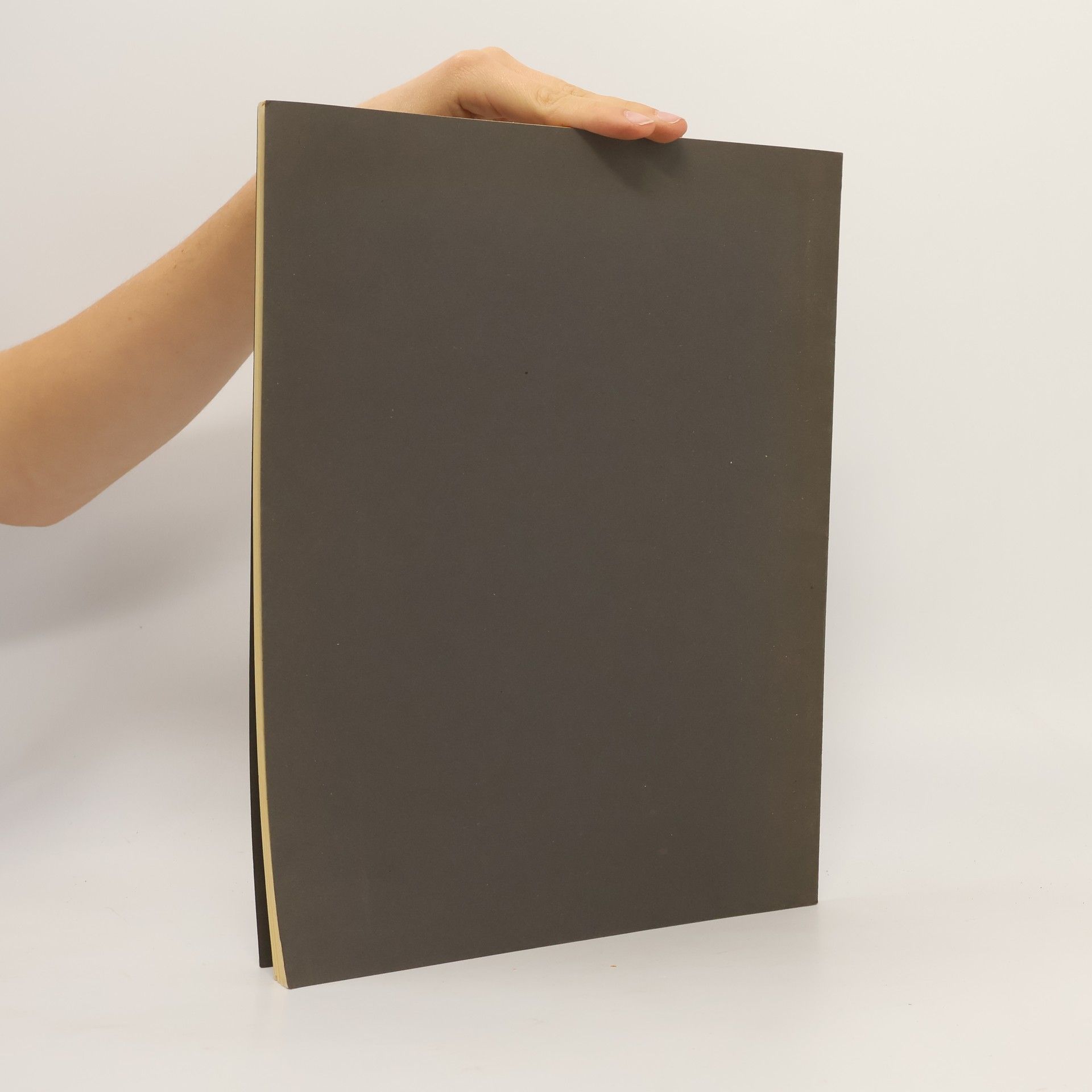 Kolektiv autorů Jahrbuch der Kunsthistorischen Sammlungen in Wien