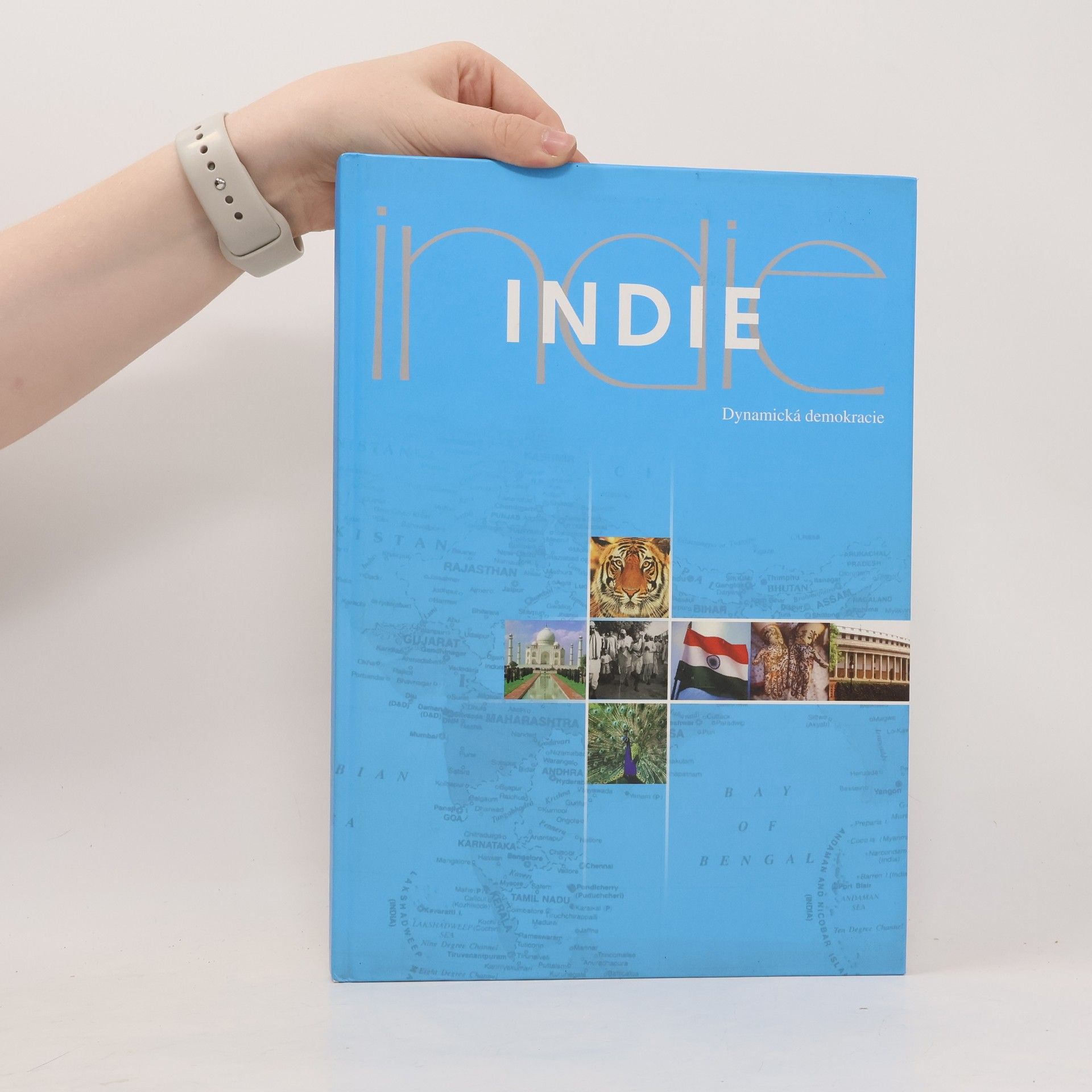 Kolektív autorov Indie