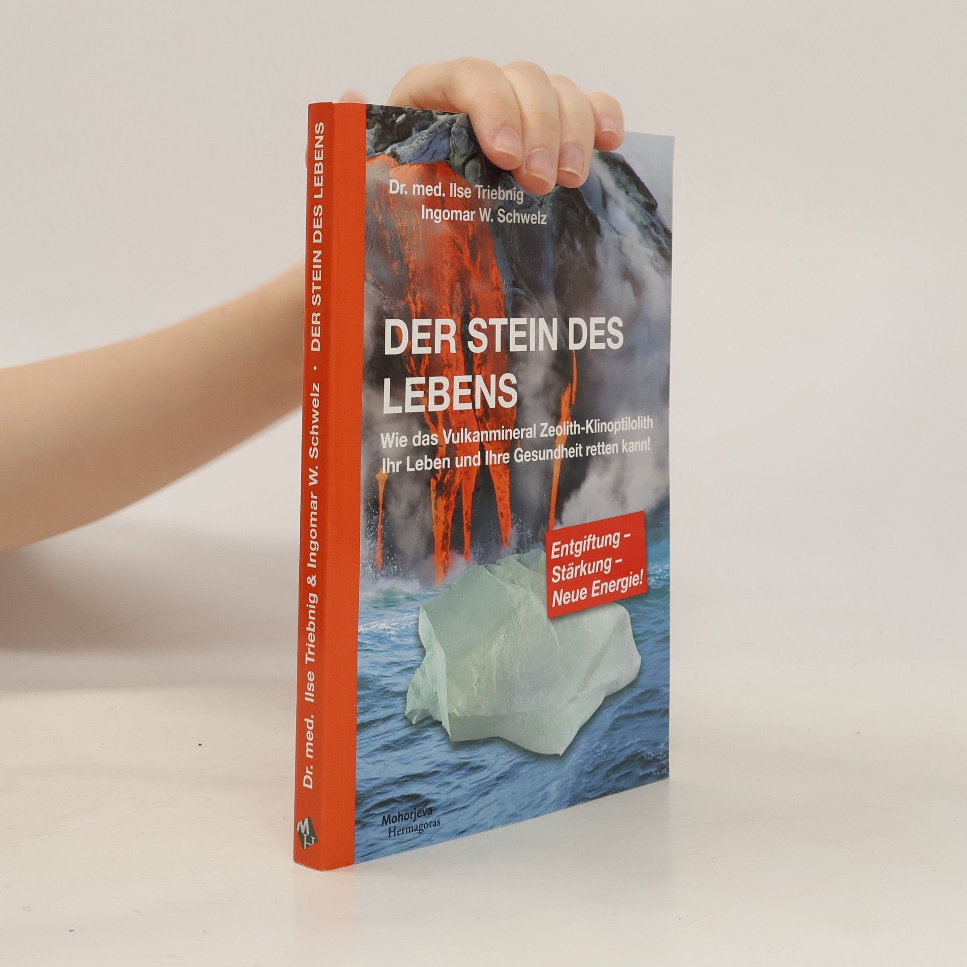Ilse Triebnig Der Stein des Lebens