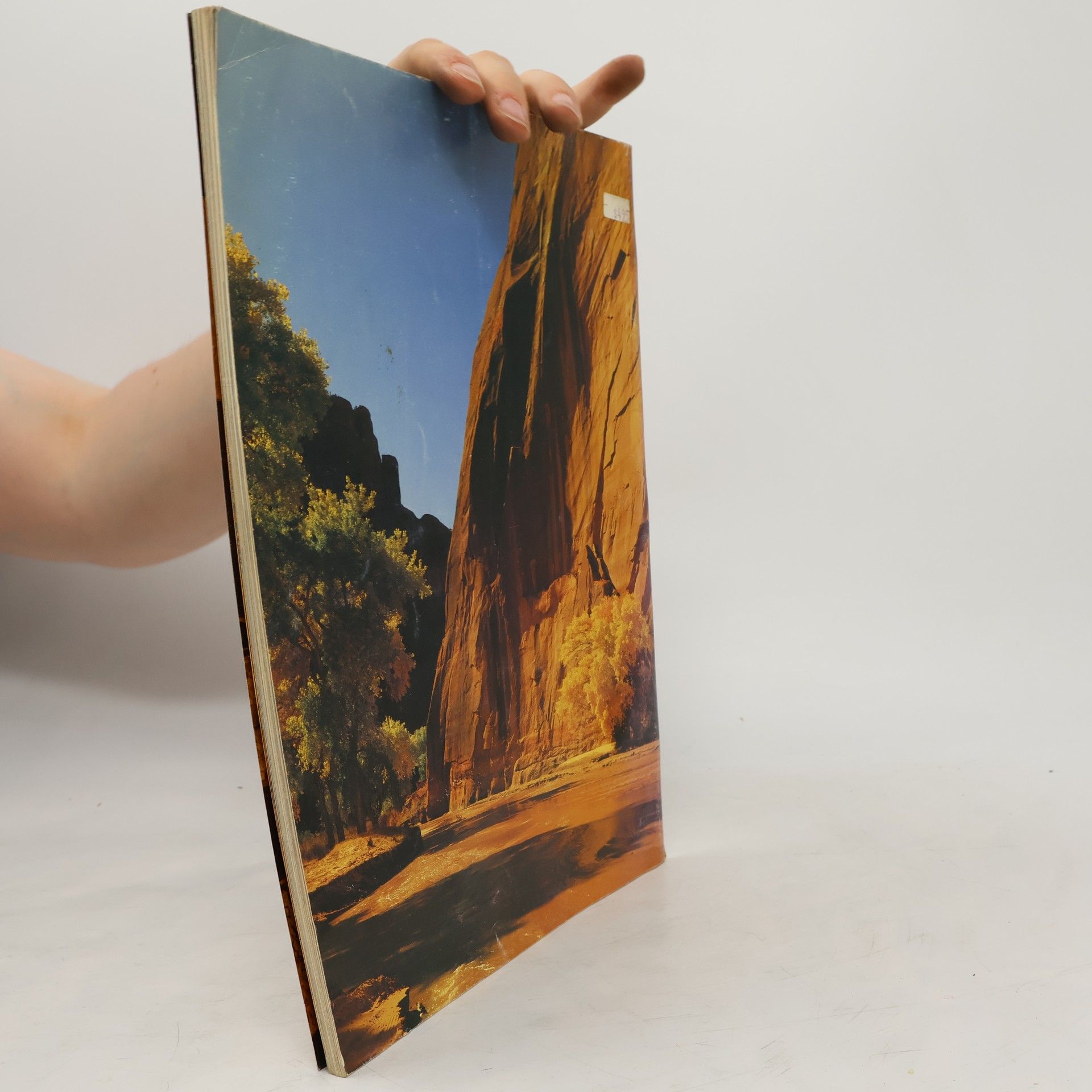 Collectif d'auteurs National Parkways. Canyon de Chelly, Mesa Verde & Hovenweep