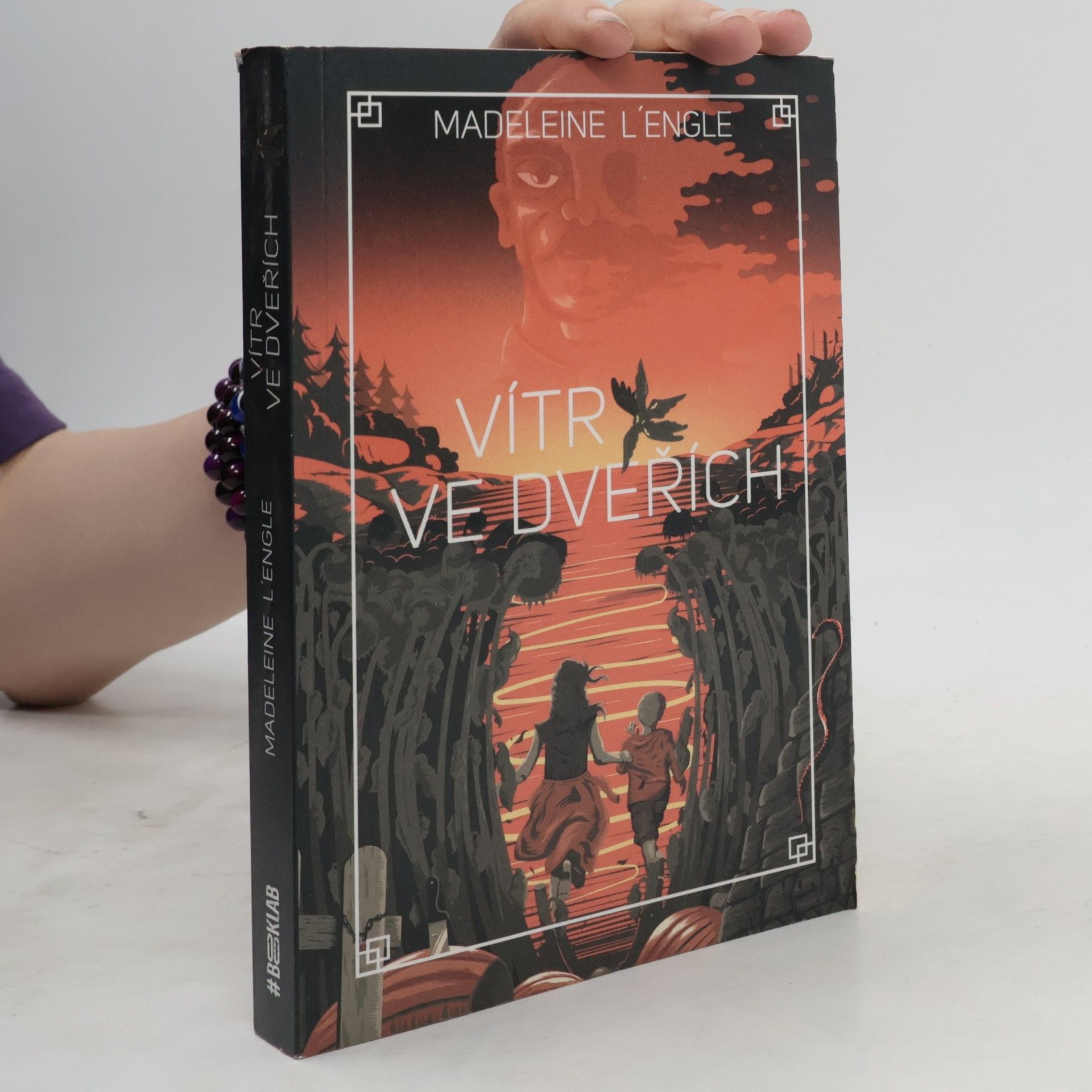 Madeleine L’Engle Vítr ve dveřích