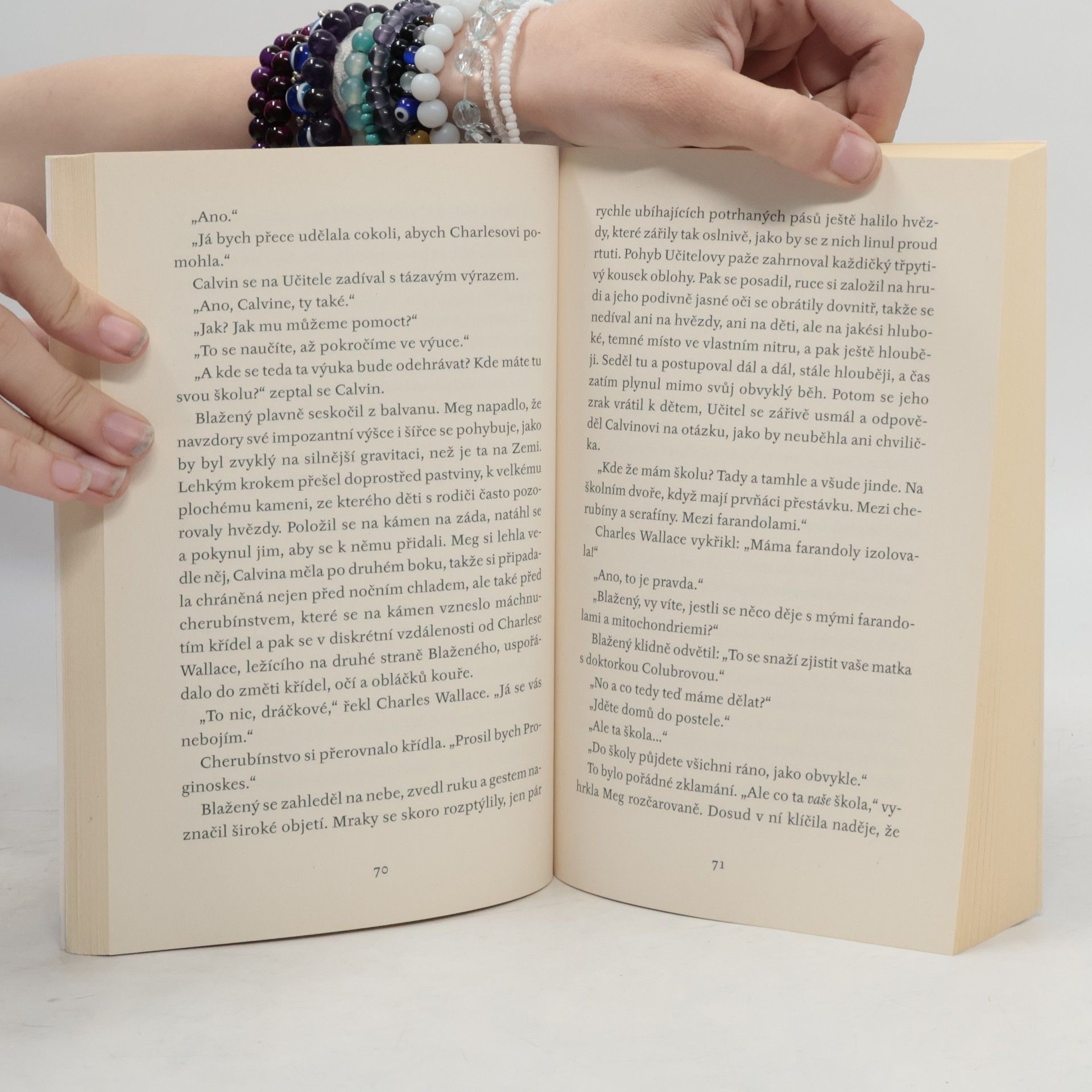 Madeleine L’Engle Vítr ve dveřích