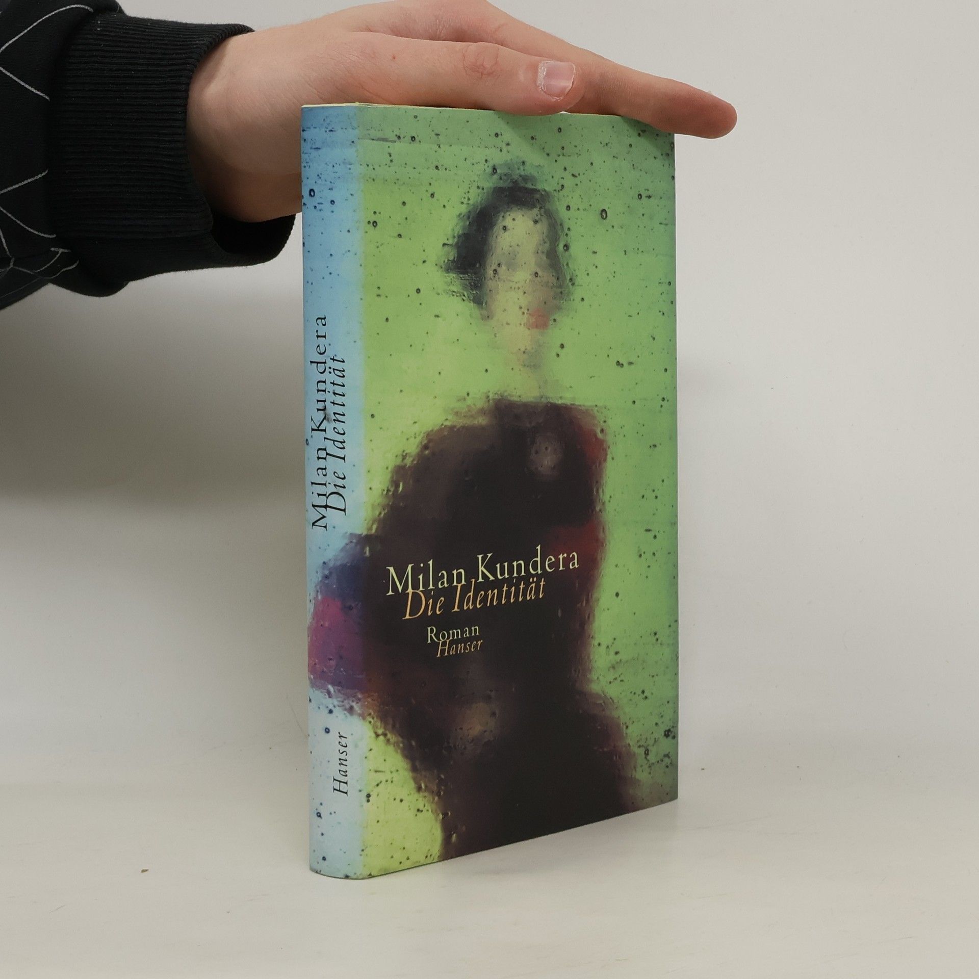 Milan Kundera Die Identität.
