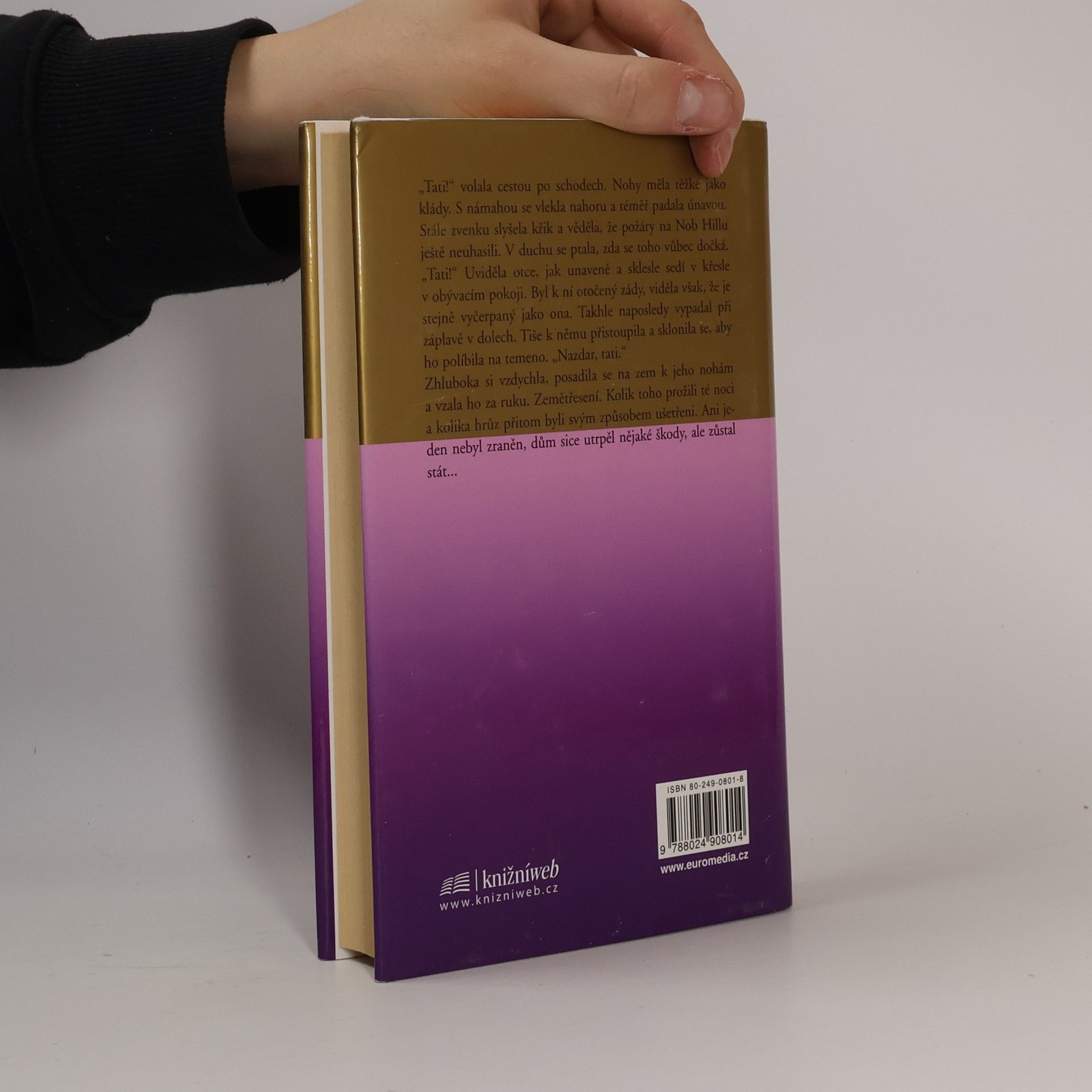 Danielle Steel Thurstonův dům