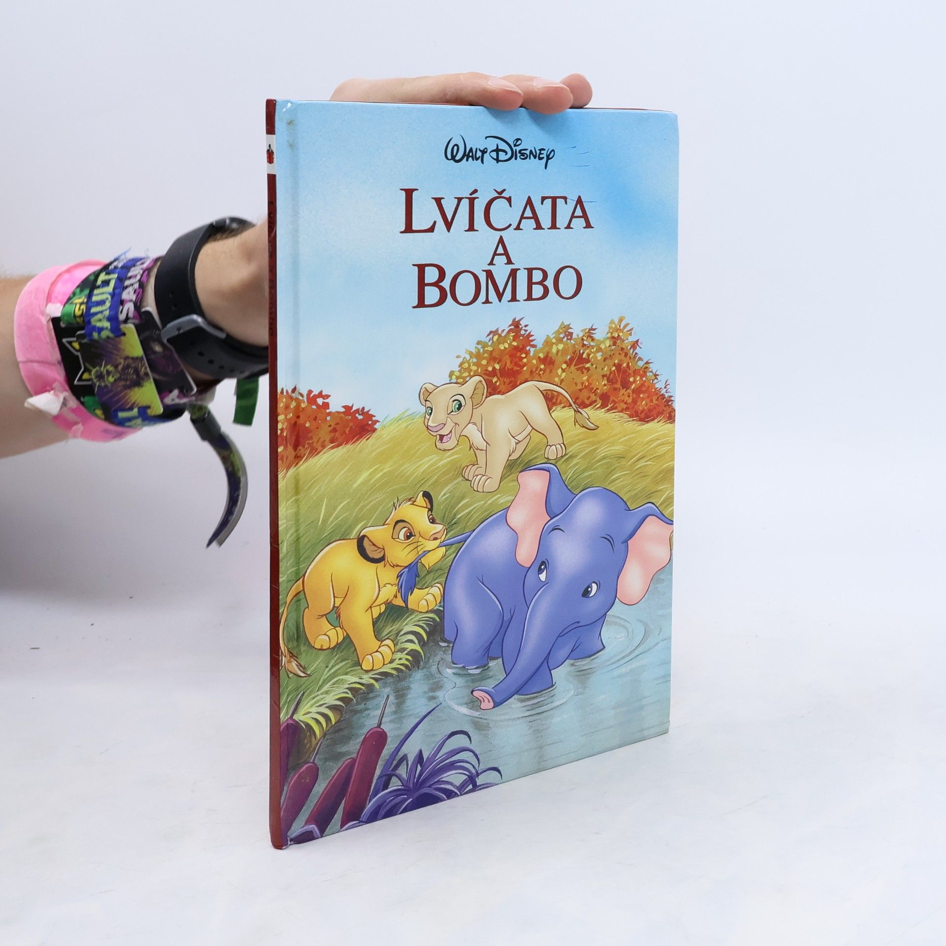 Markéta Černá Lvíčata a Bombo
