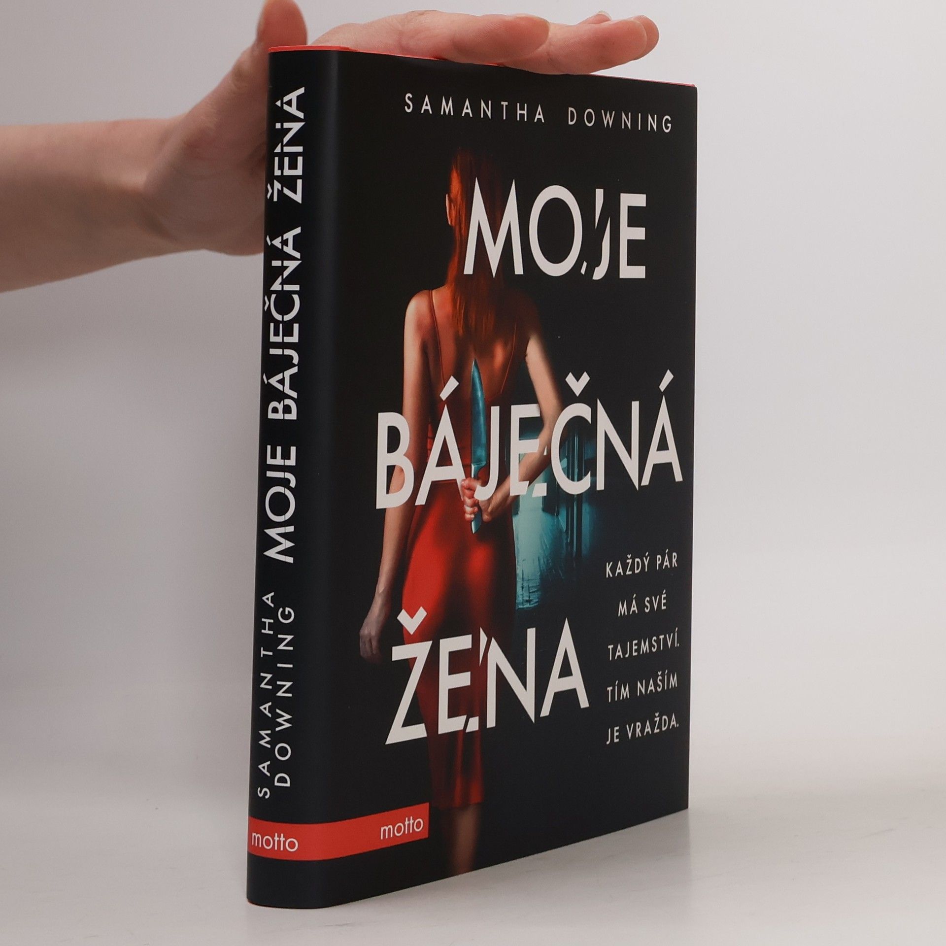 Samantha Downing Moje báječná žena