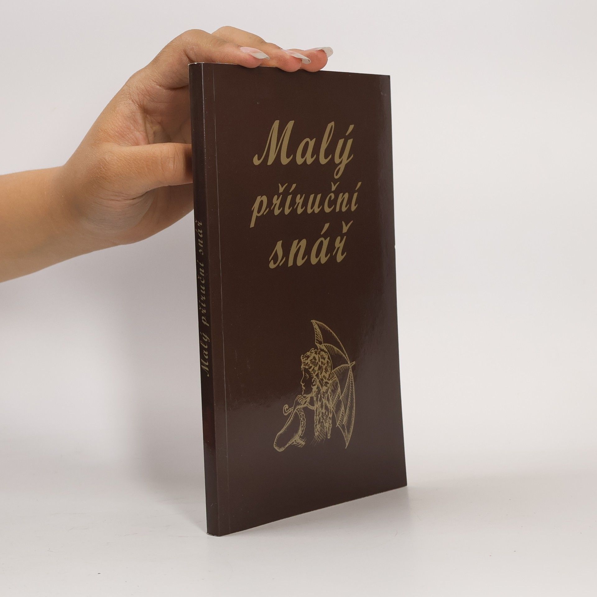 Autorenkollektiv Malý příruční snář