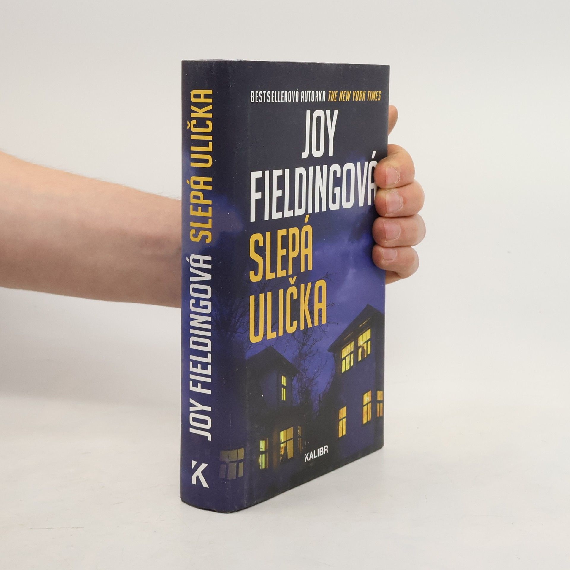 Joy Fielding Slepá ulička
