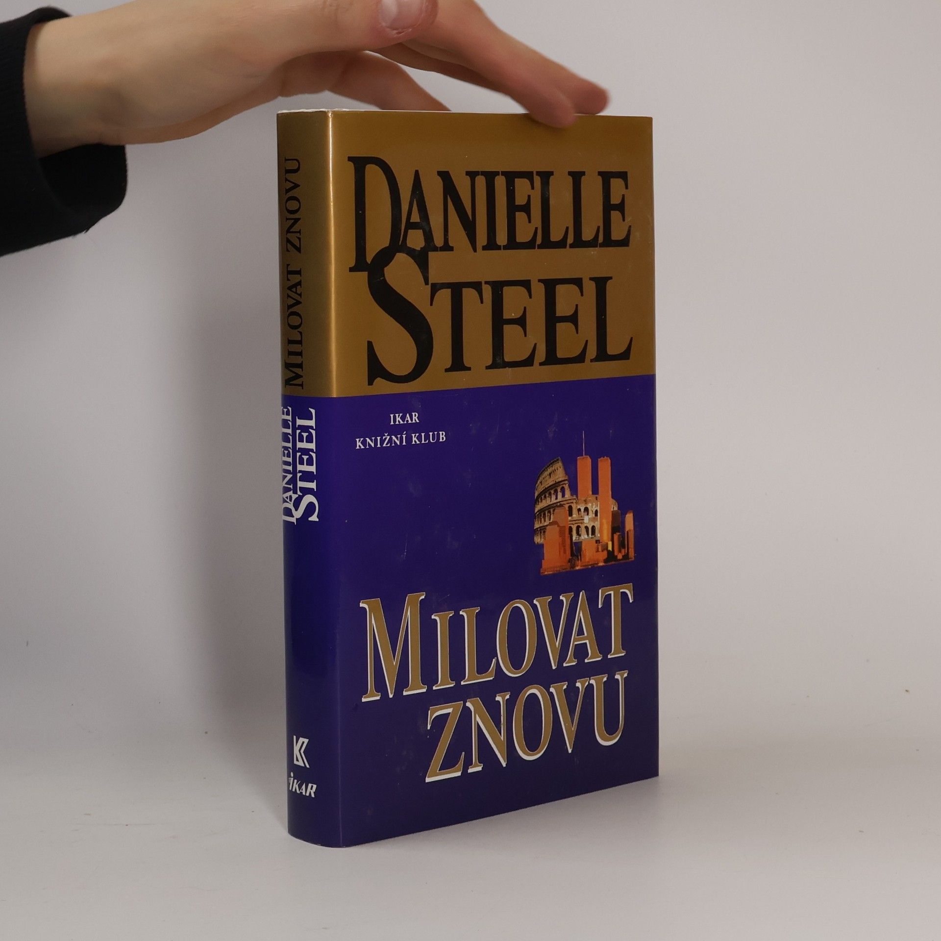Danielle Steel Milovat znovu