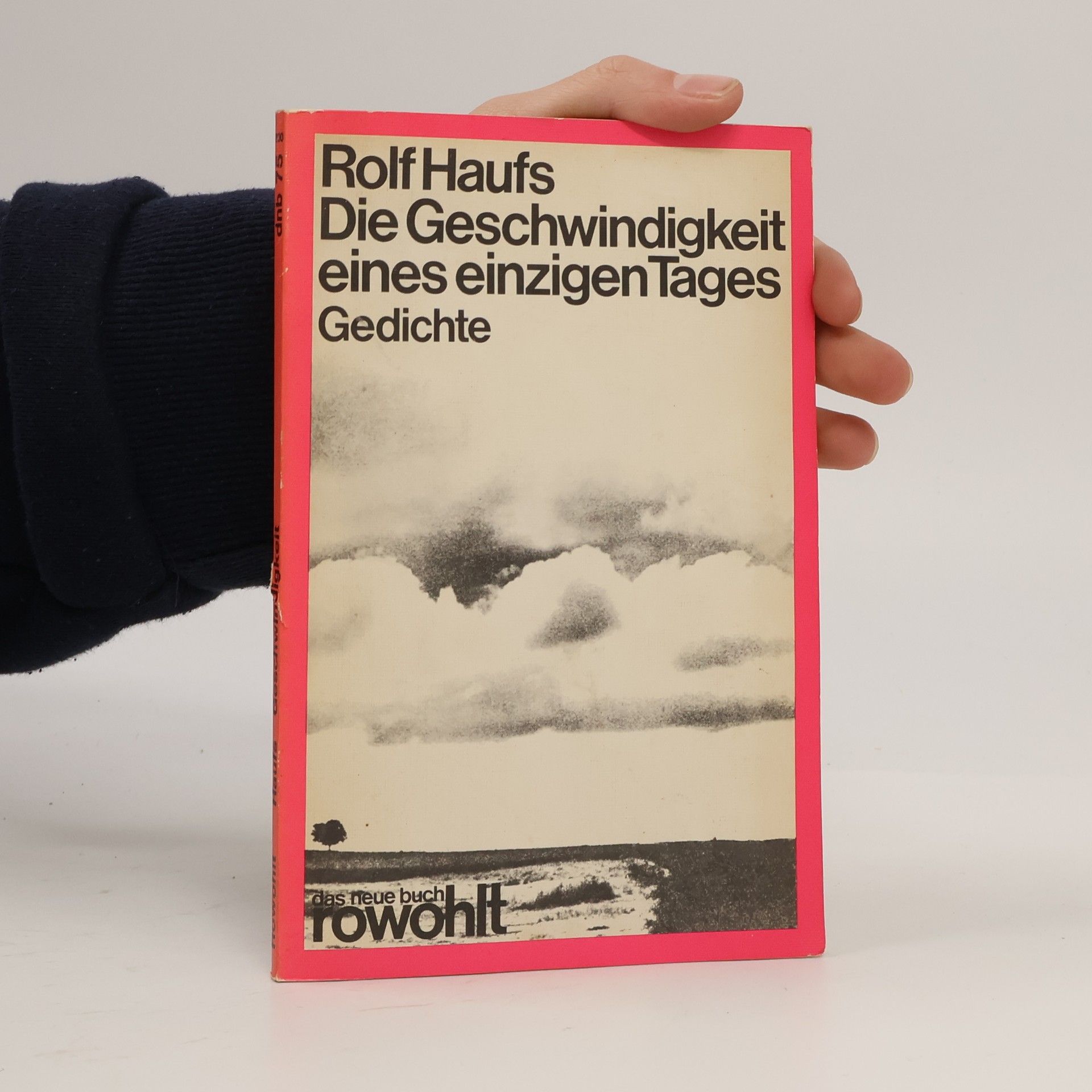 Rolf Haufs Die Geschwindigkeit eines einzigen Tages