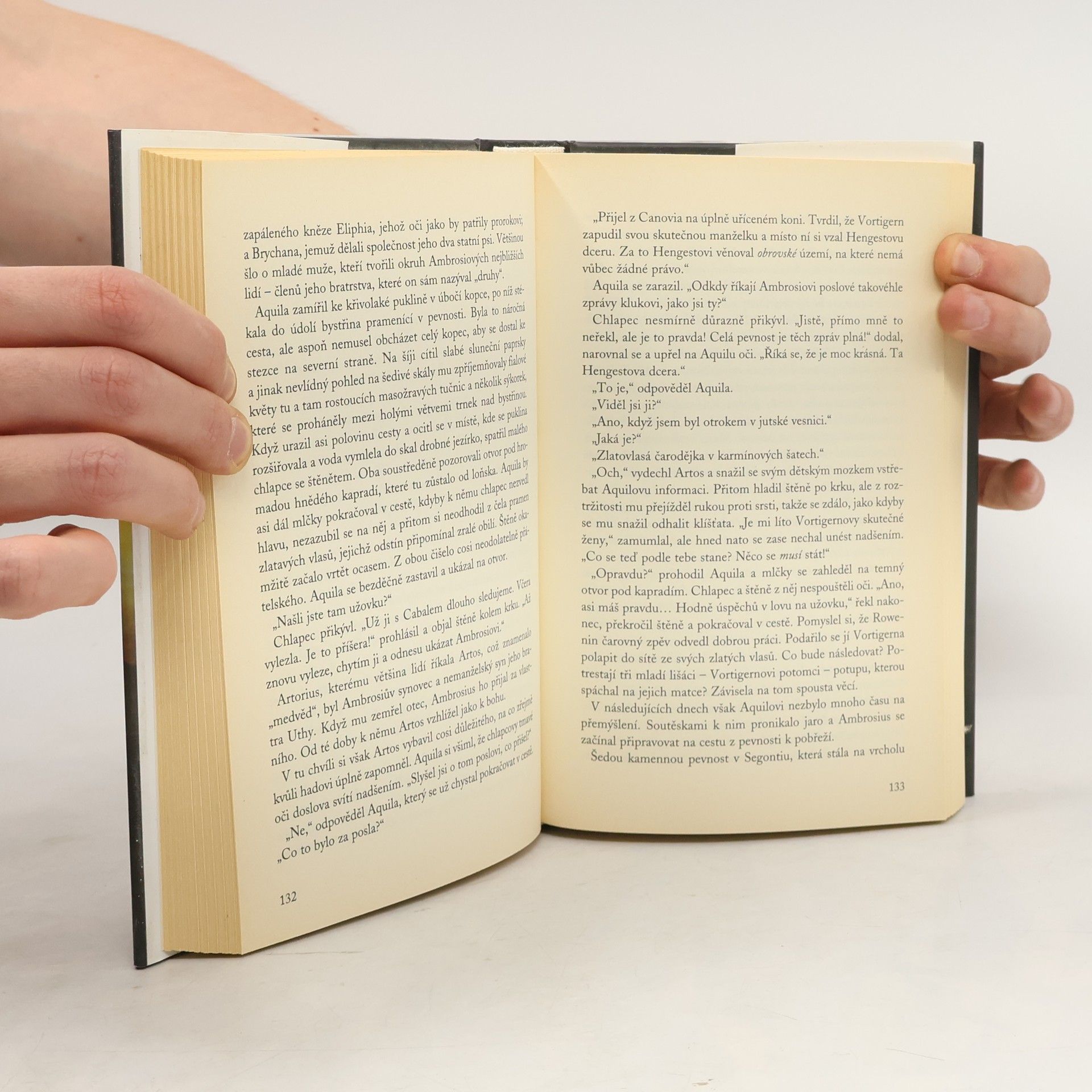 Rosemary Sutcliff Světlonoši