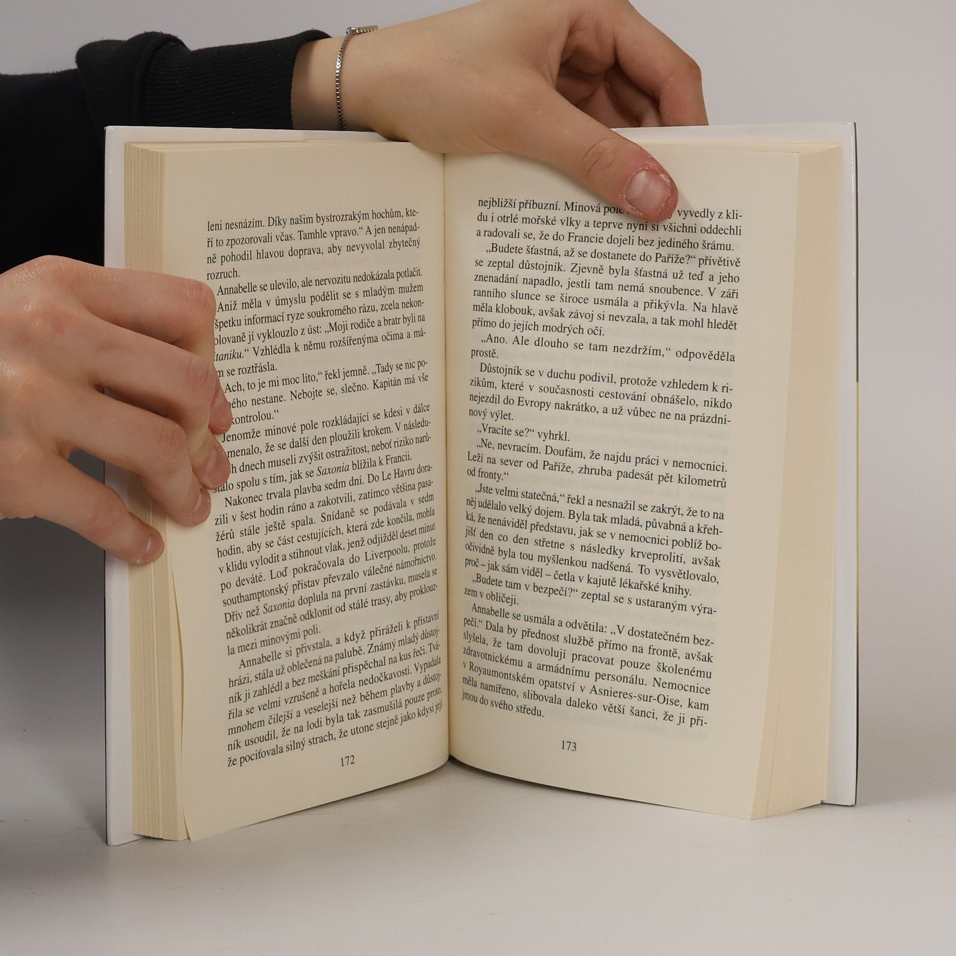 Danielle Steel Šlechetná žena