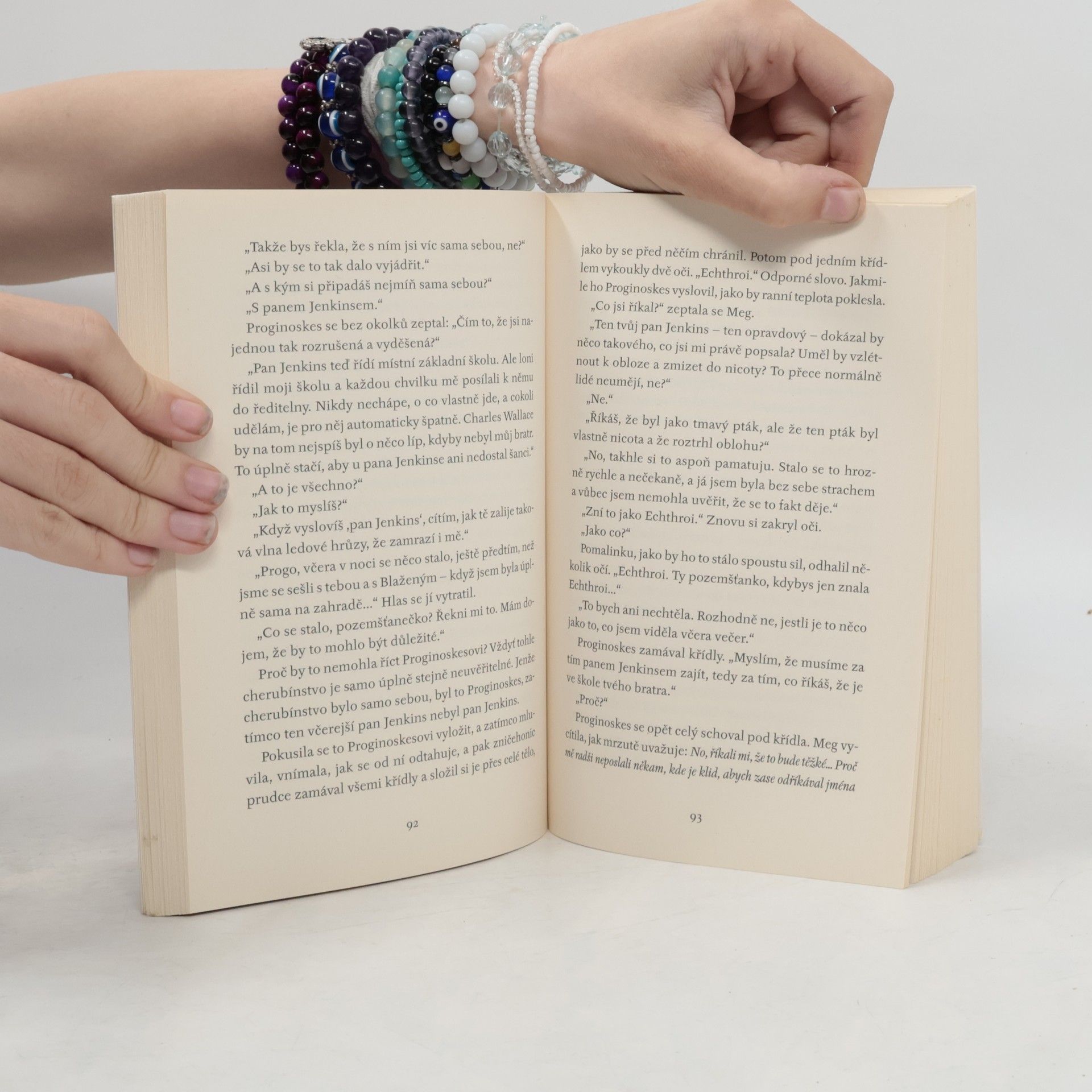 Madeleine L'Engle Vítr ve dveřích