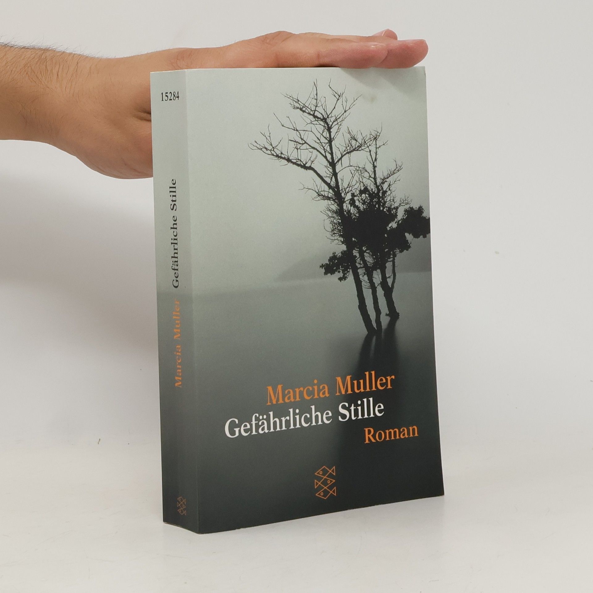 Marcia Muller Gefährliche Stille