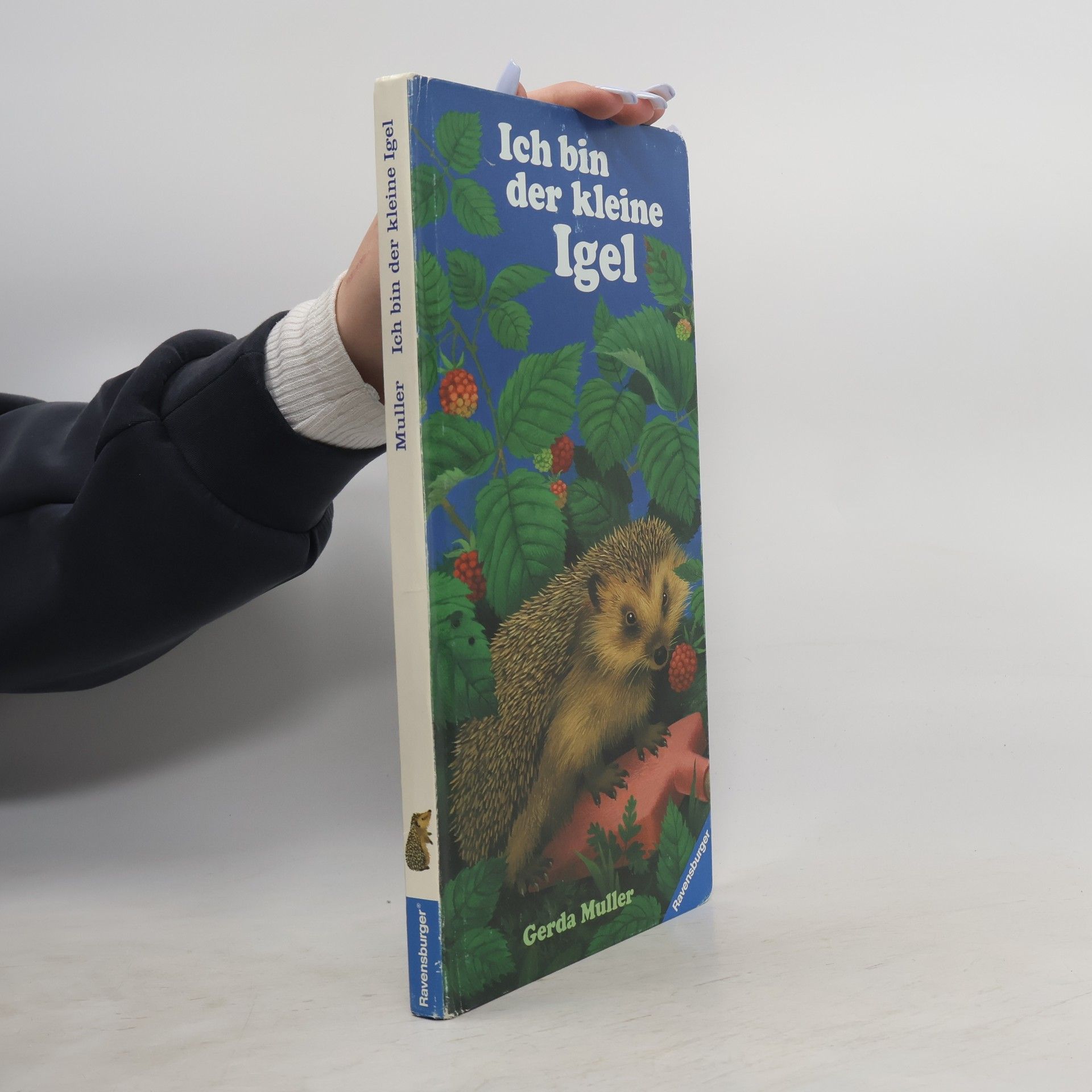 Gerda Muller Ich bin der kleine Igel