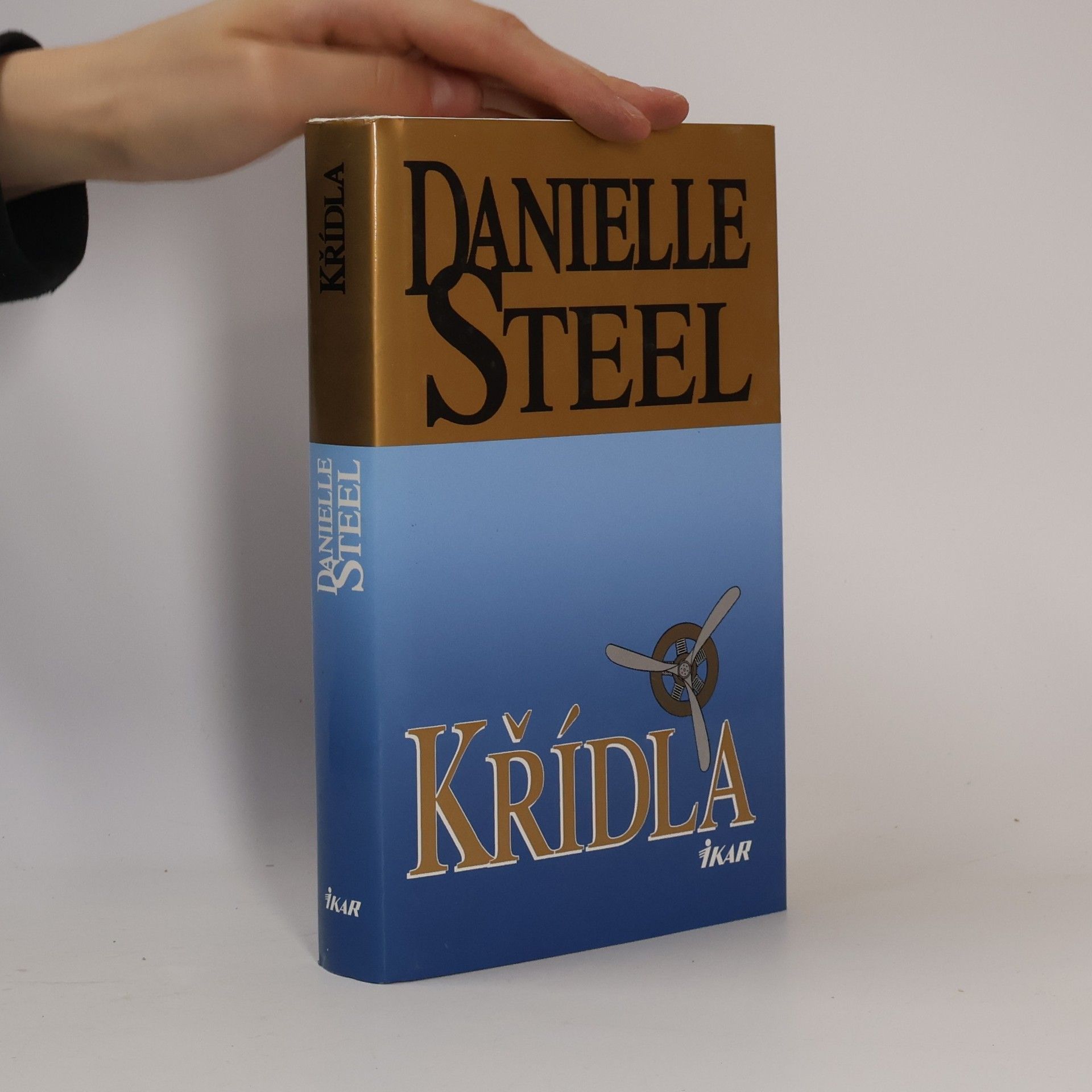 Danielle Steel Křídla