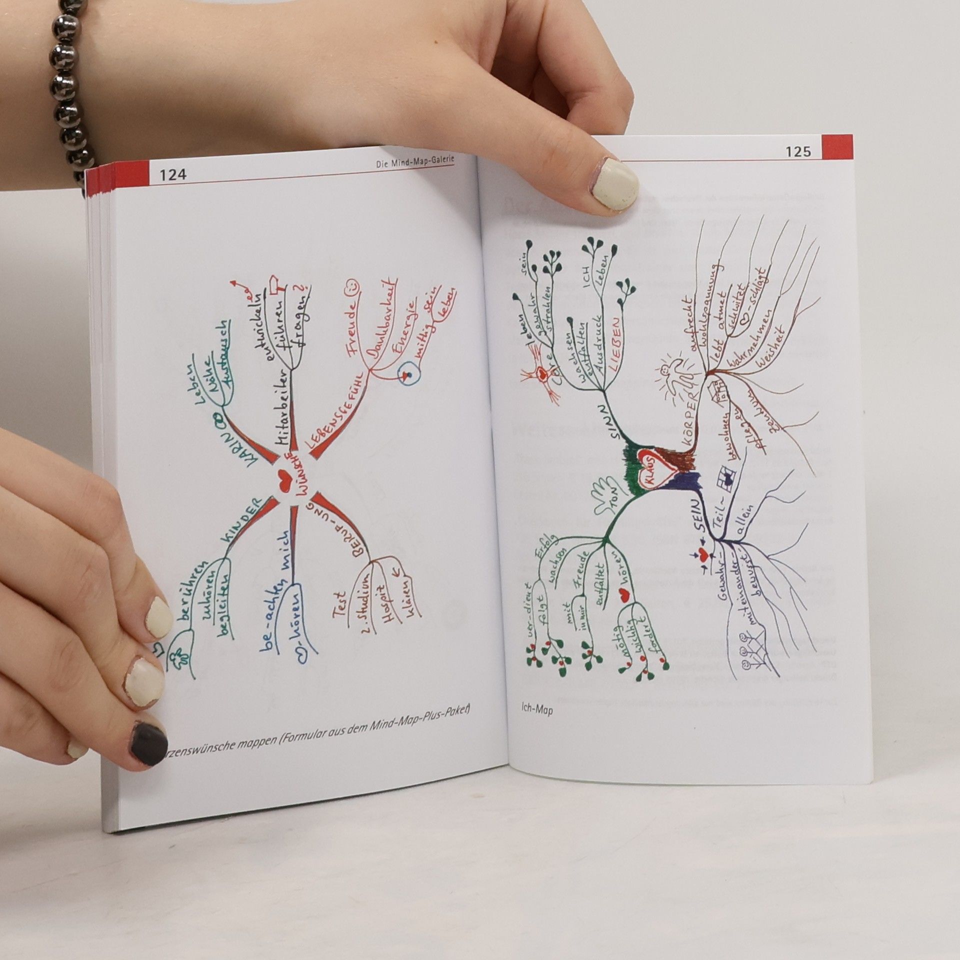 Horst Müller Mind Mapping