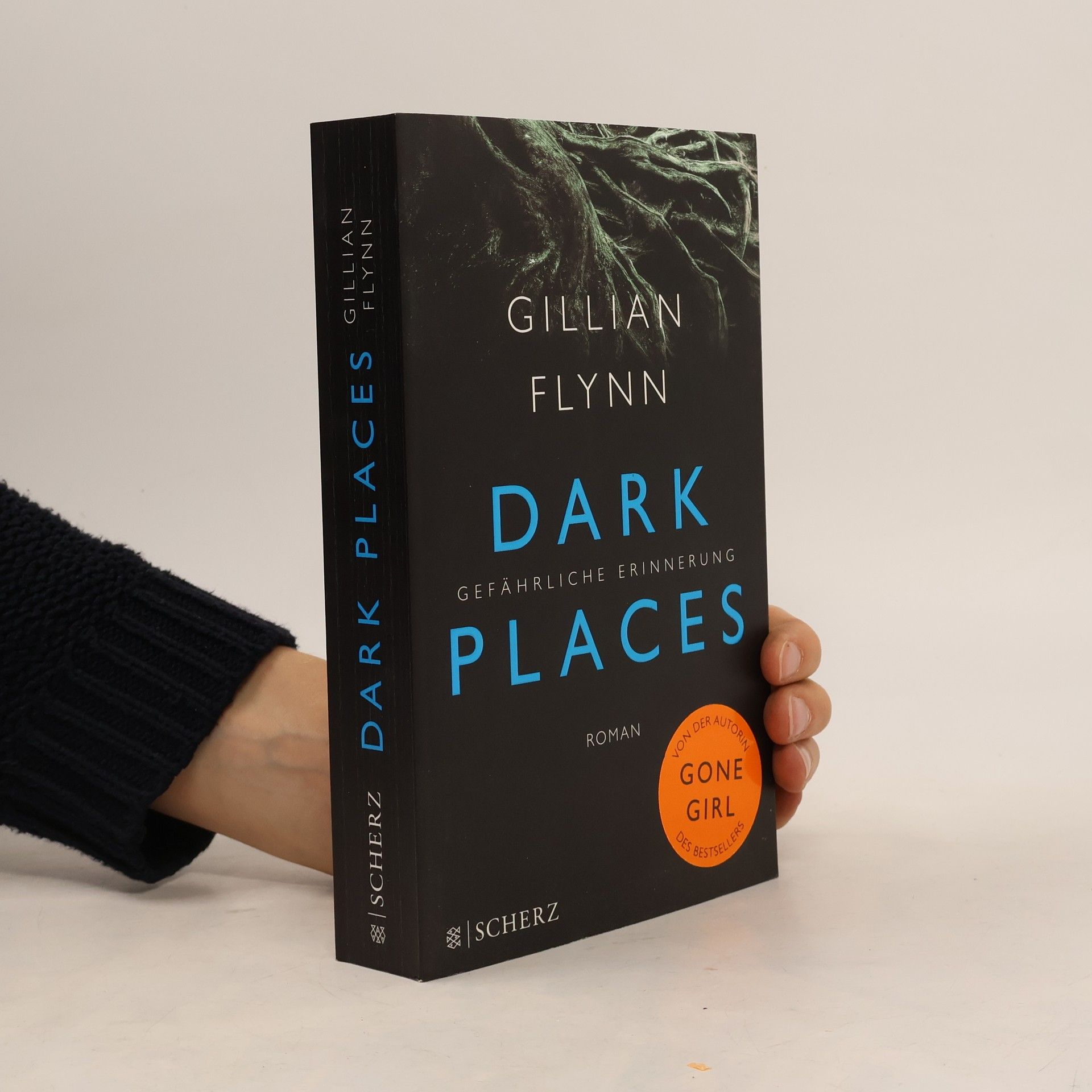 Gillian Flynn Dark places