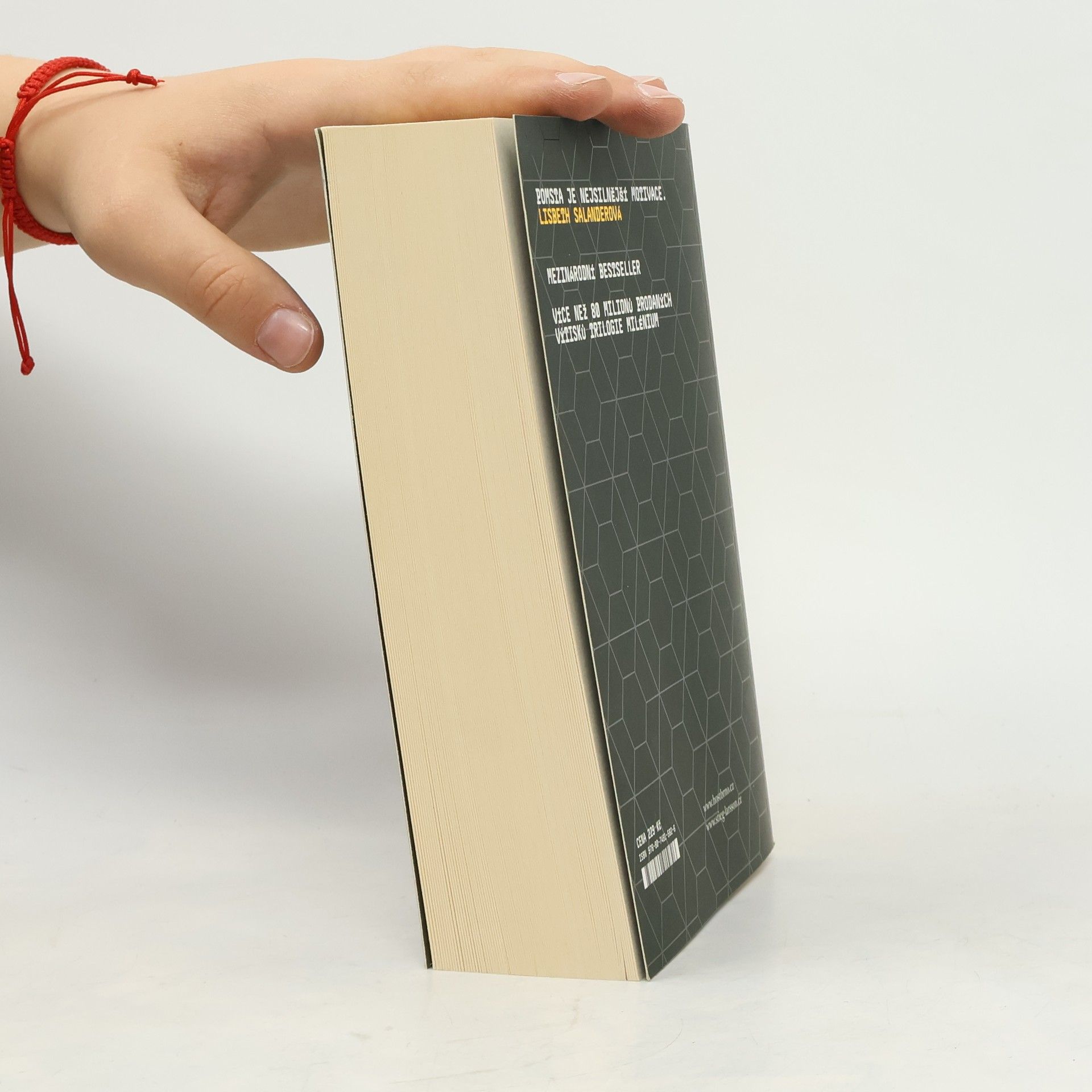 Stieg Larsson Dívka, která kopla do vosího hnízda
