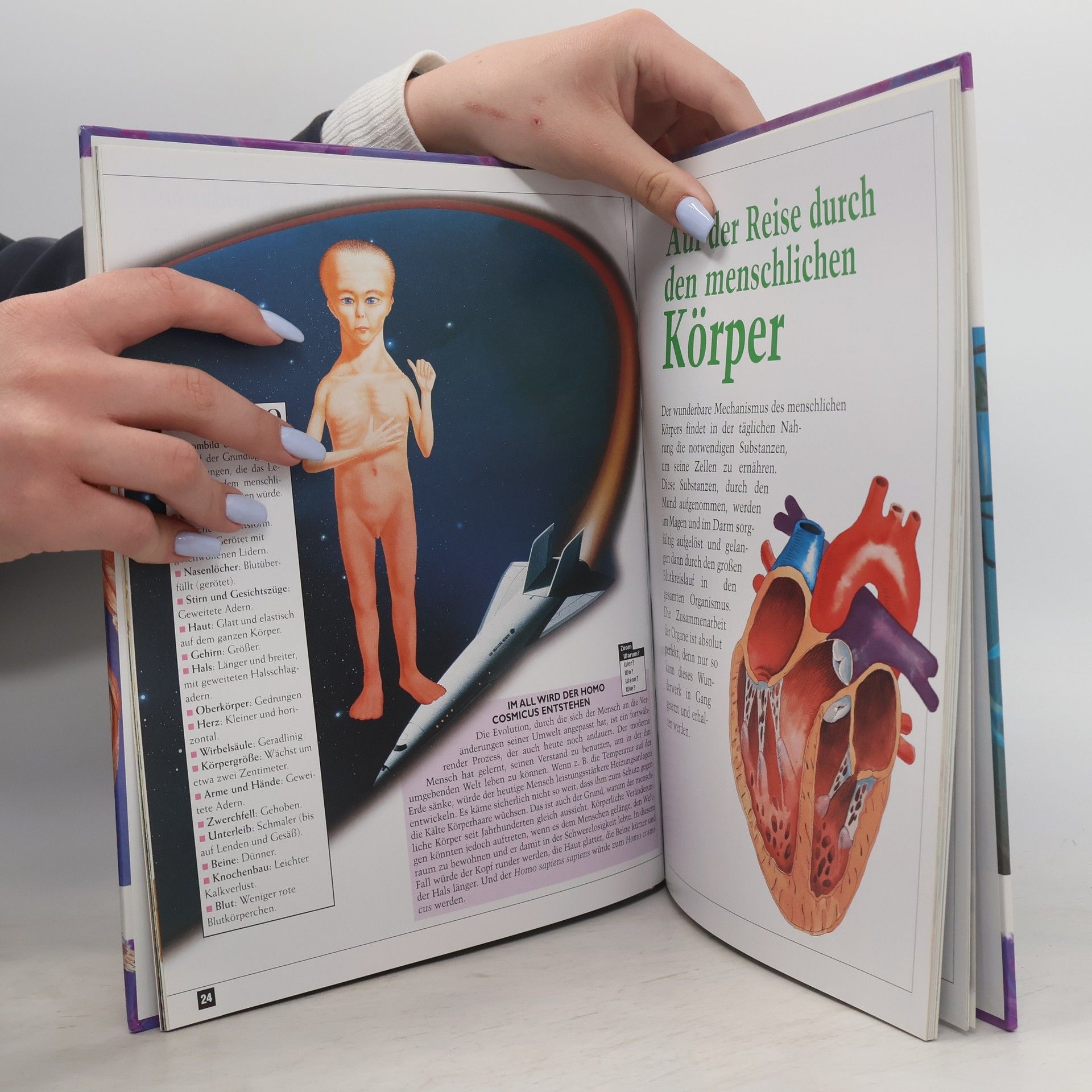 Autorenkollektiv Der Korper des Menschen