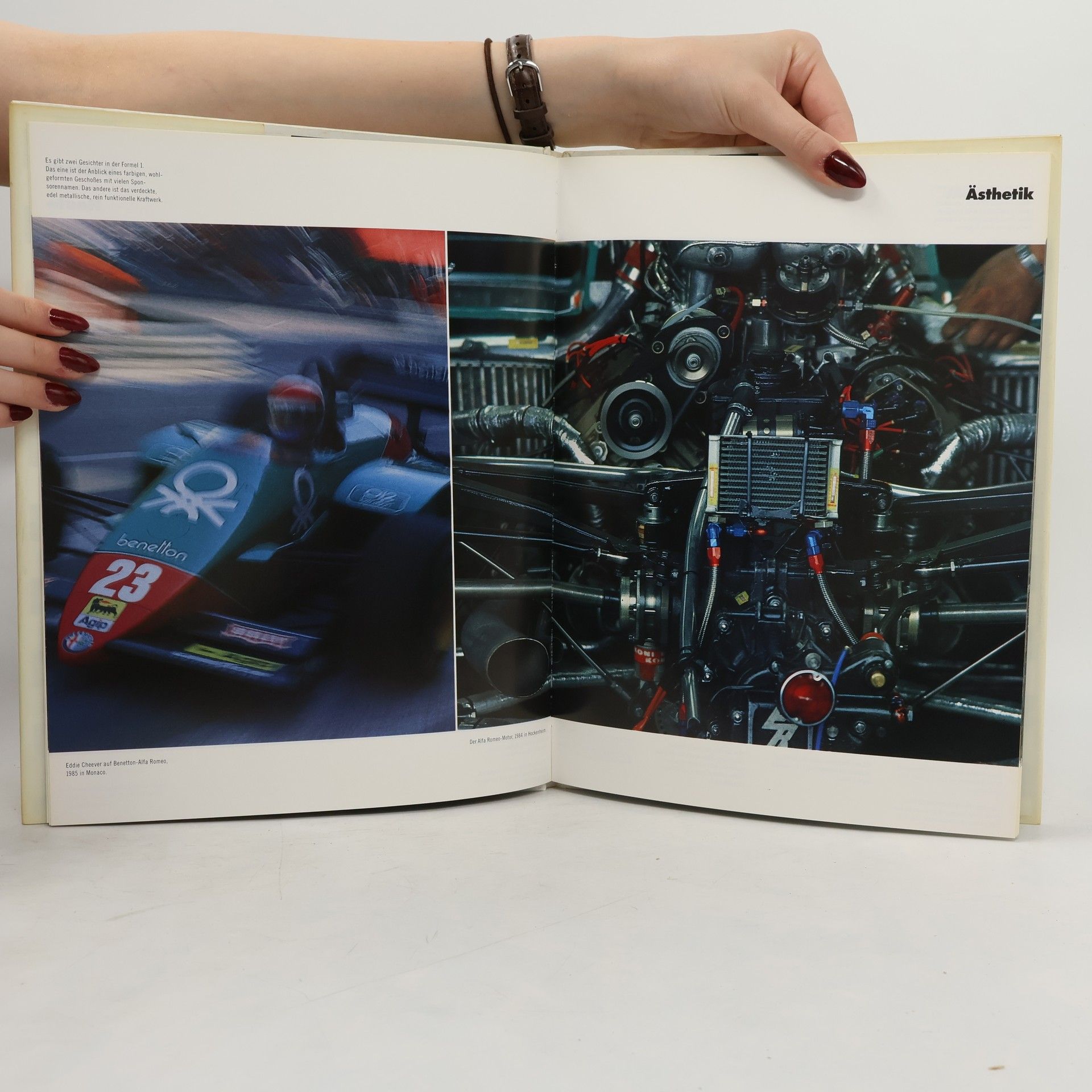Rainer W. Schlegelmilch Die Technik der Formel 1