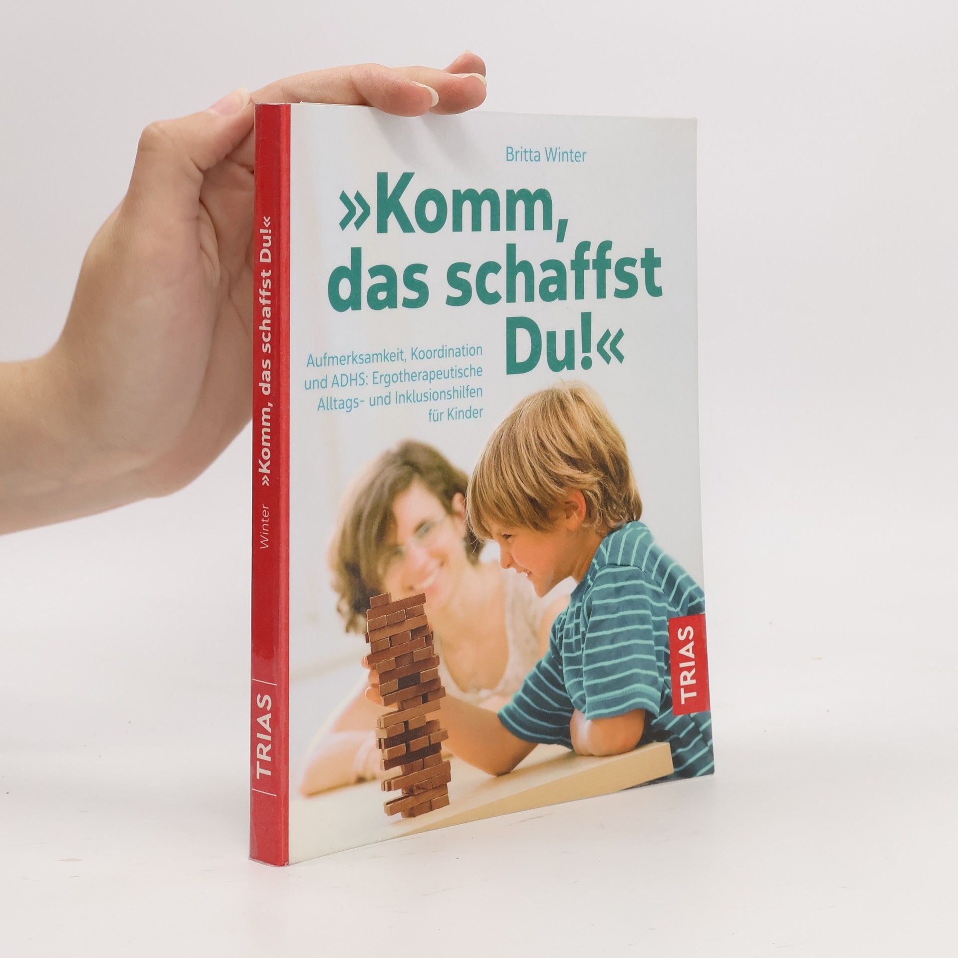Britta Winter Komm, das schaffst Du!