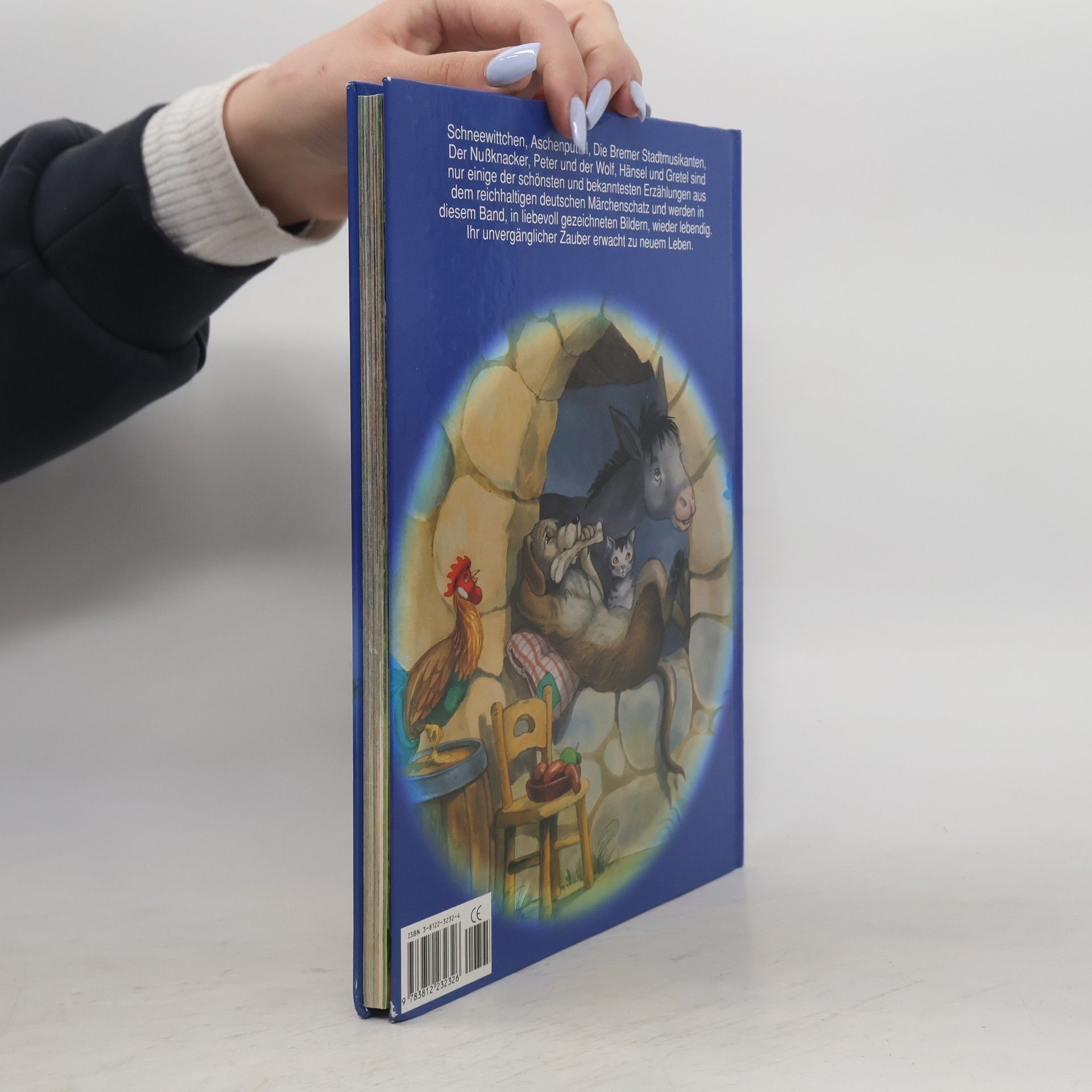 Kolektiv autorů Meine schönsten Märchen