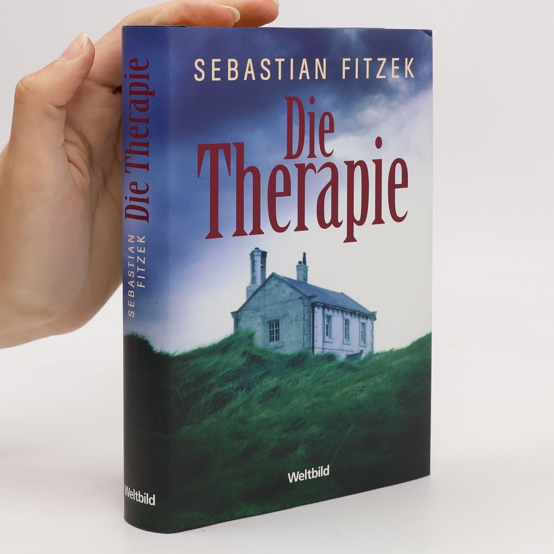 Sebastian Fitzek Die Therapie
