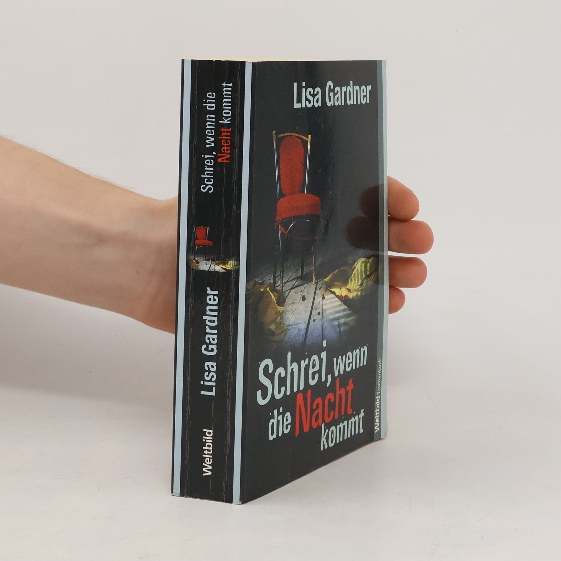 Lisa Gardner Schrei, wenn die Nacht kommt