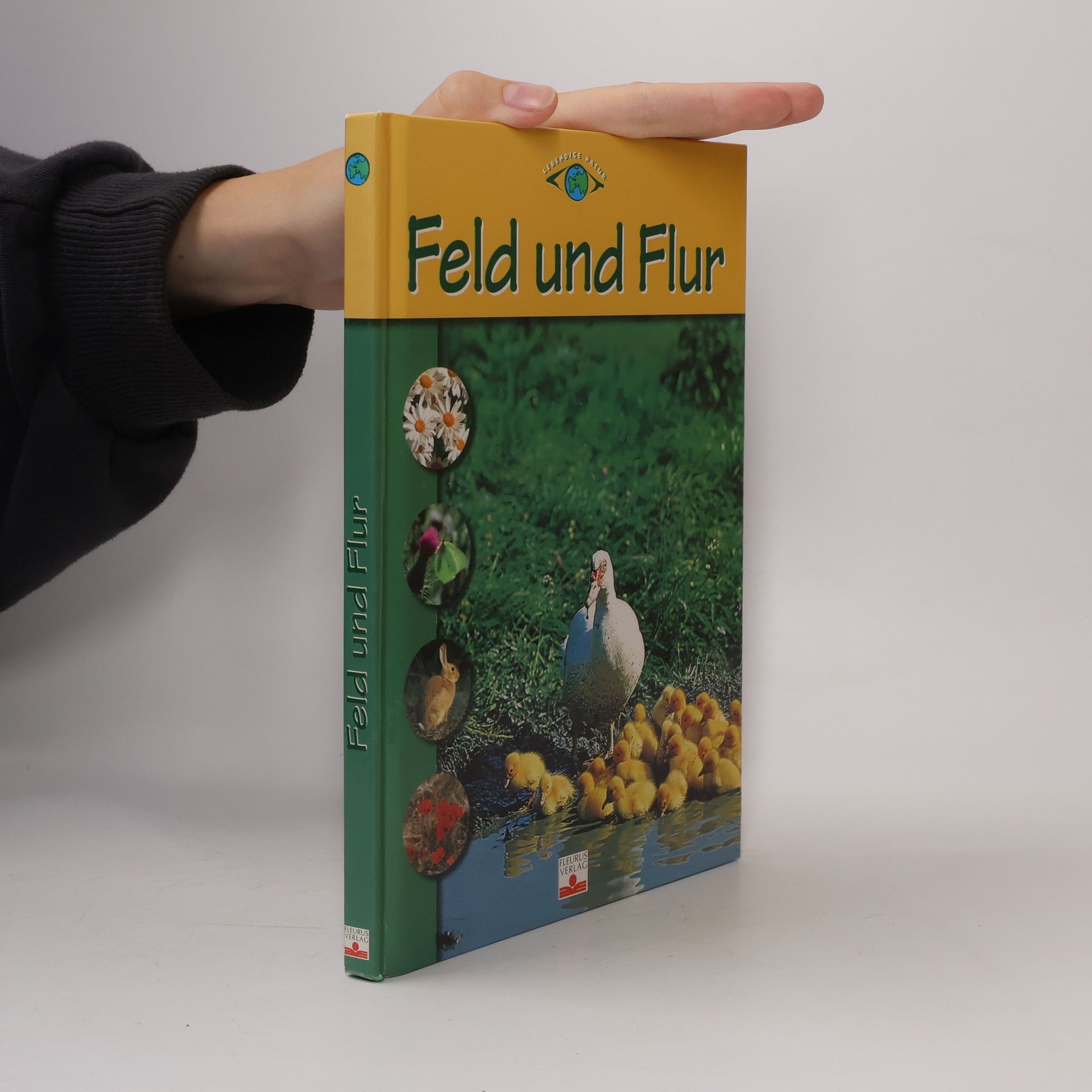 Ge rard Blondeau Feld und Flur