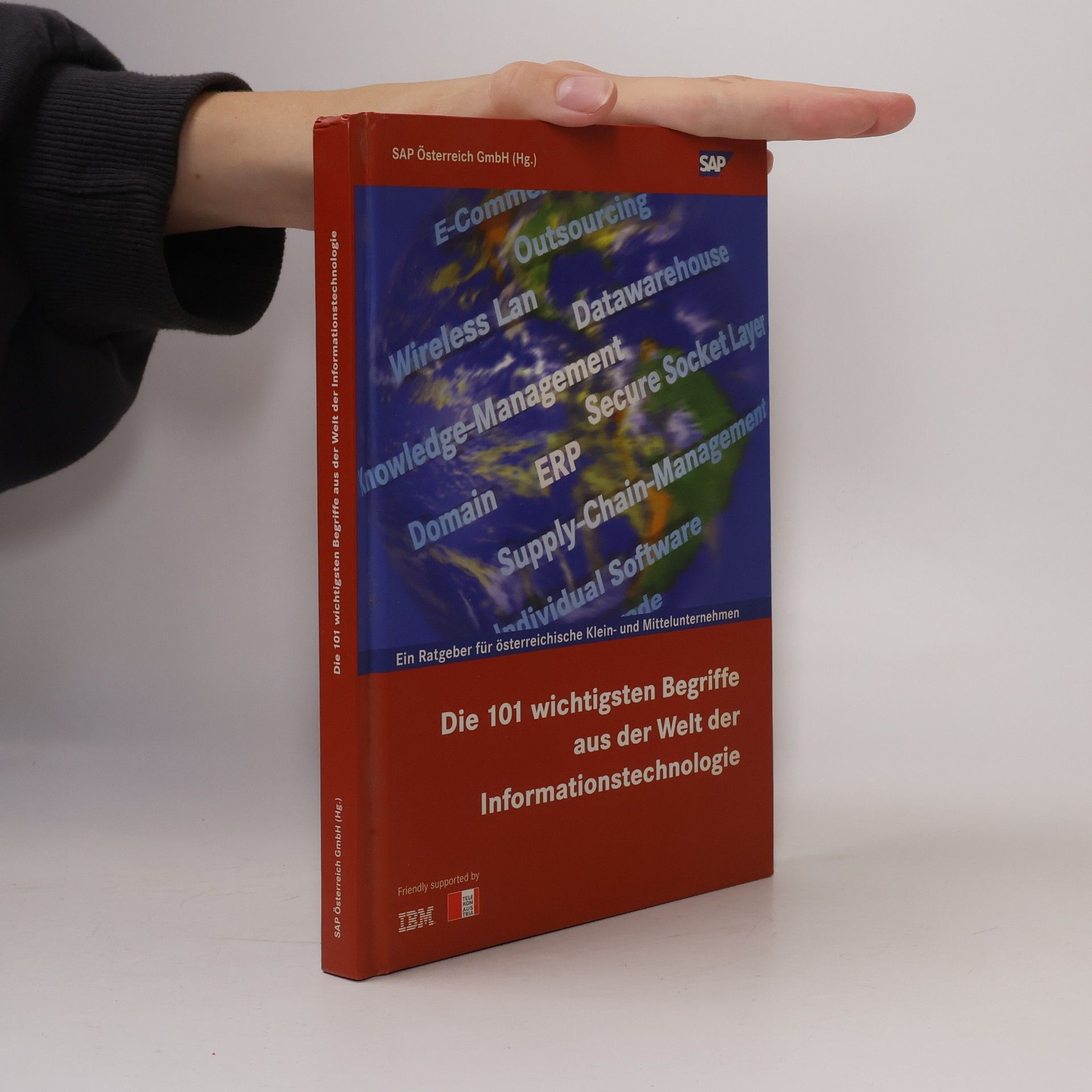Kolektiv autorů Die 101 wichtigen Begriffe aus der Welt der Informationstechnologie