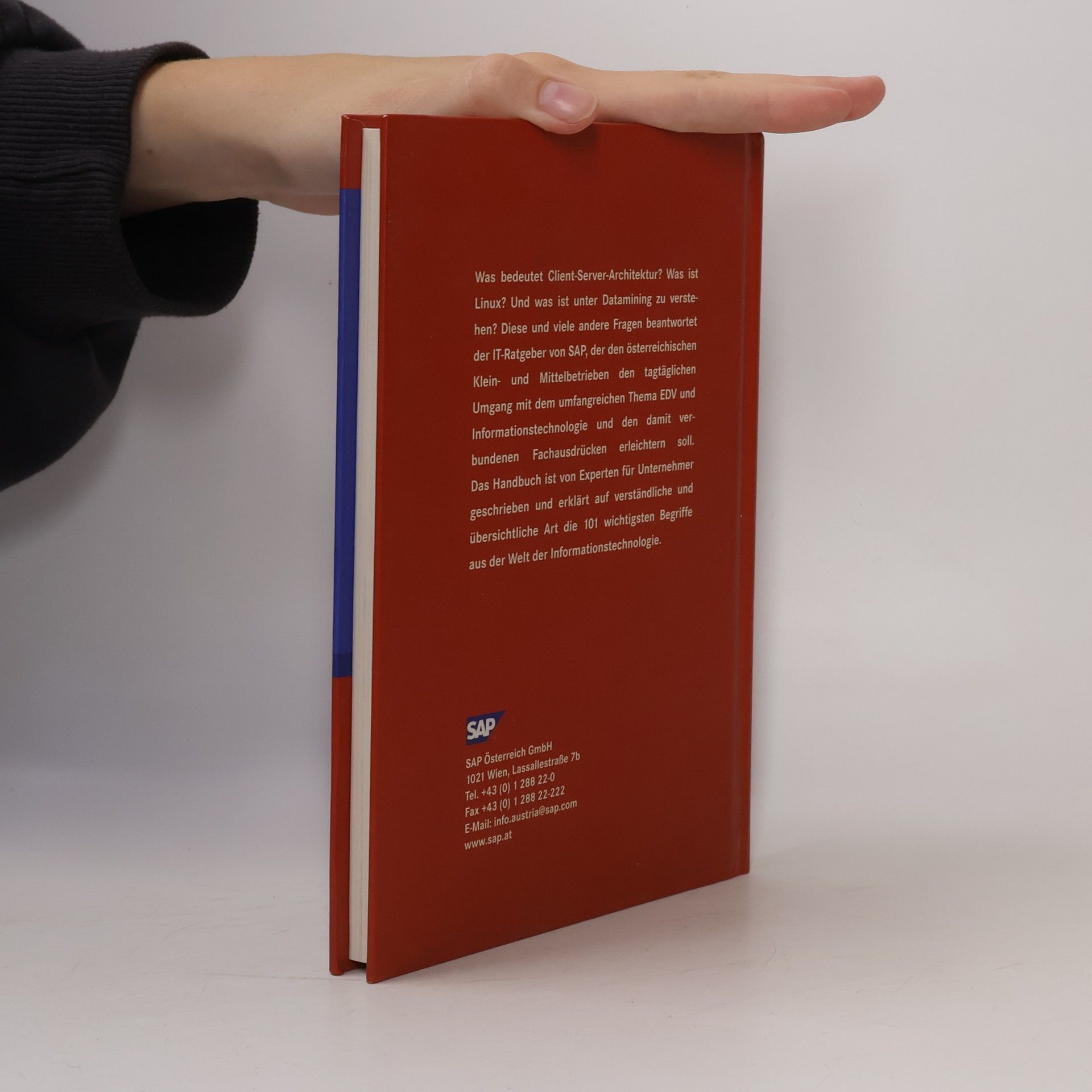 Kolektív autorov Die 101 wichtigen Begriffe aus der Welt der Informationstechnologie