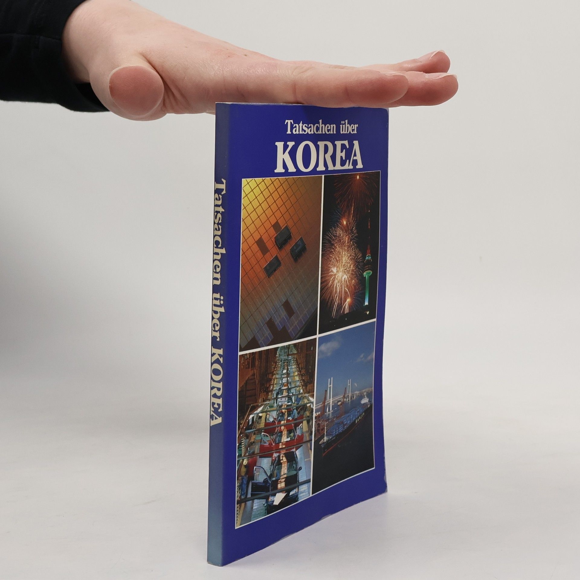 Kolektiv autorů Tatsachen über Korea