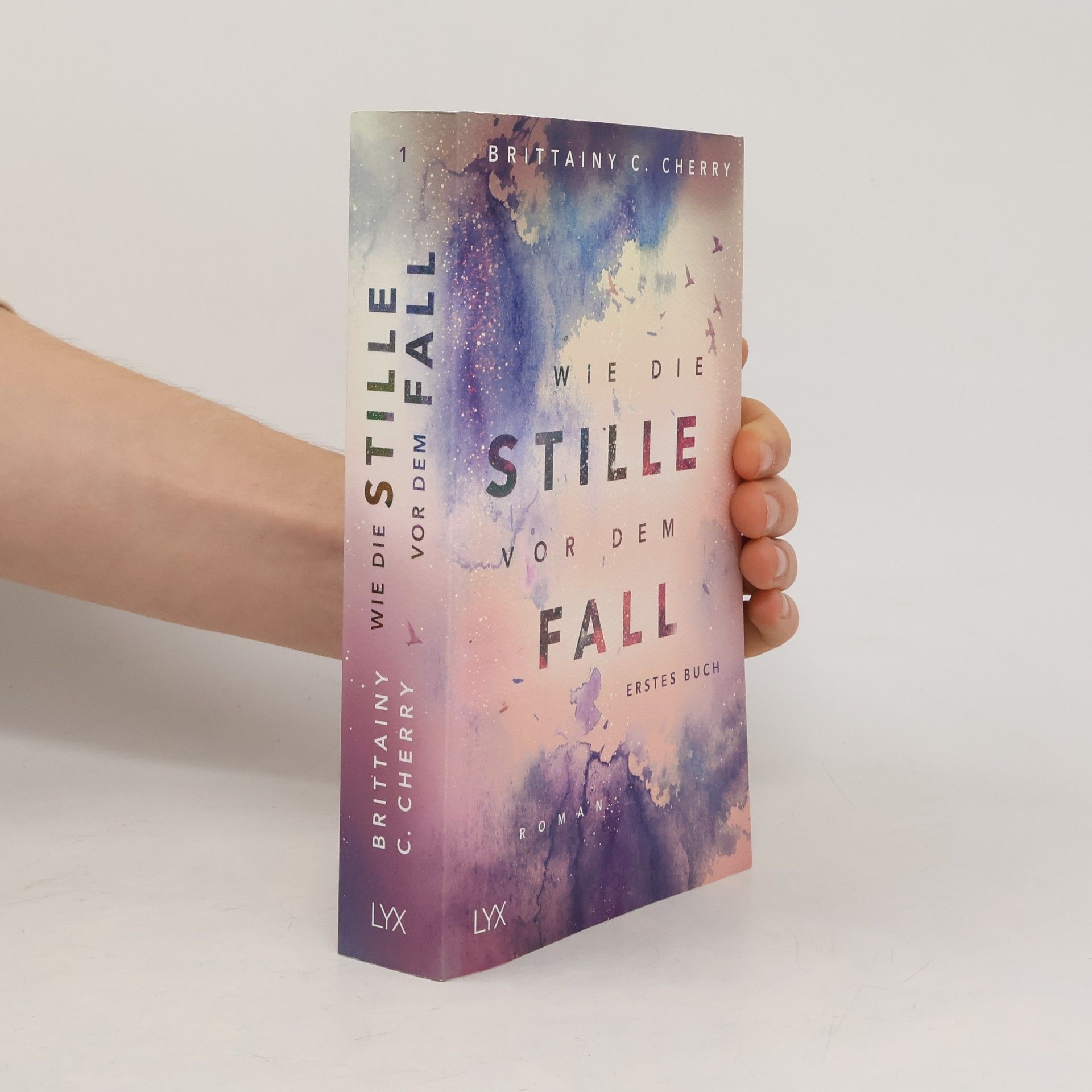 Brittainy C. Cherry Wie die Stille vor dem Fall