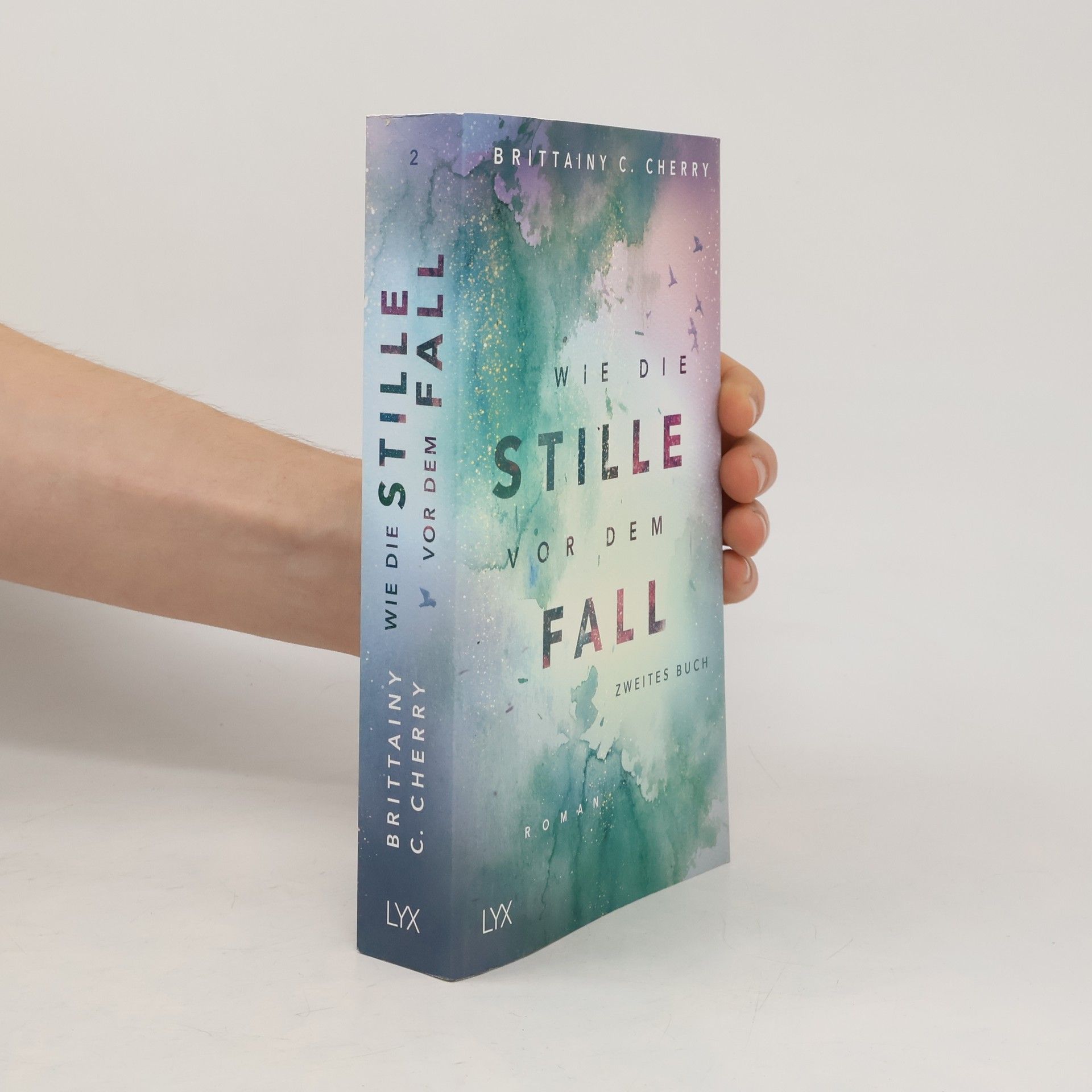 Brittainy C. Cherry Wie die Stille vor dem Fall 2