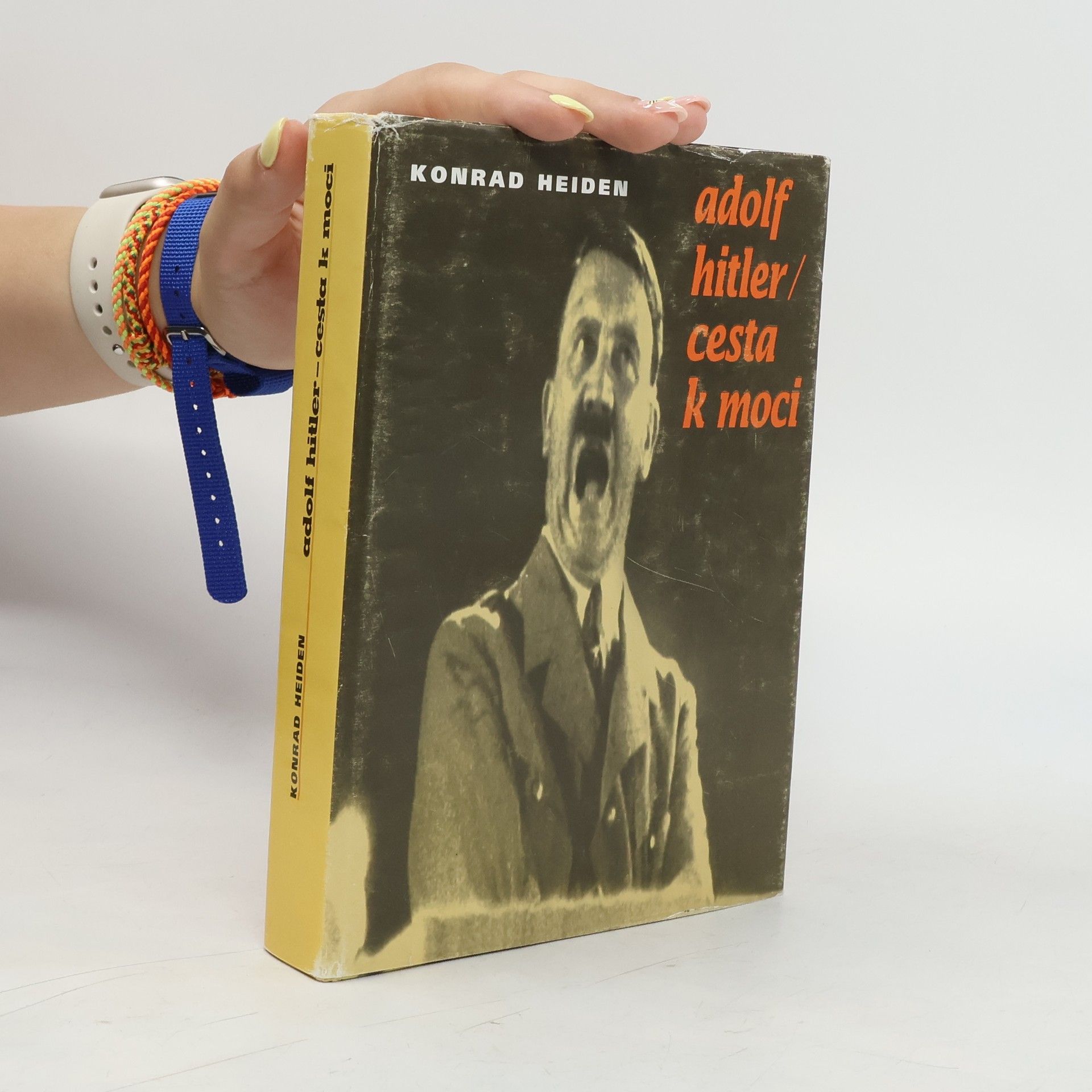 Konrad Heiden Adolf Hitler: Cesta k moci