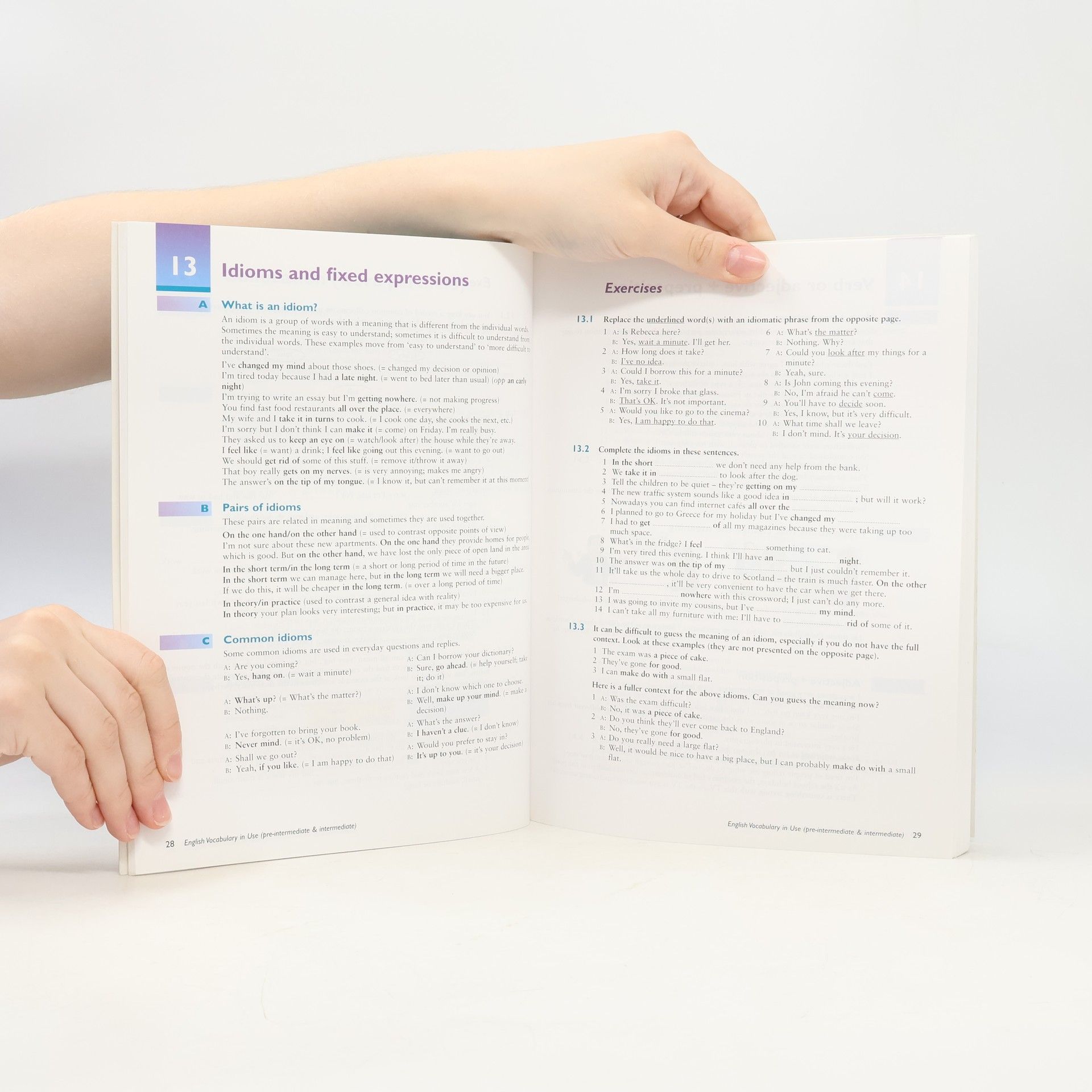 Stuart Redman English vocabulary in use : pre-intermediate and intermediate