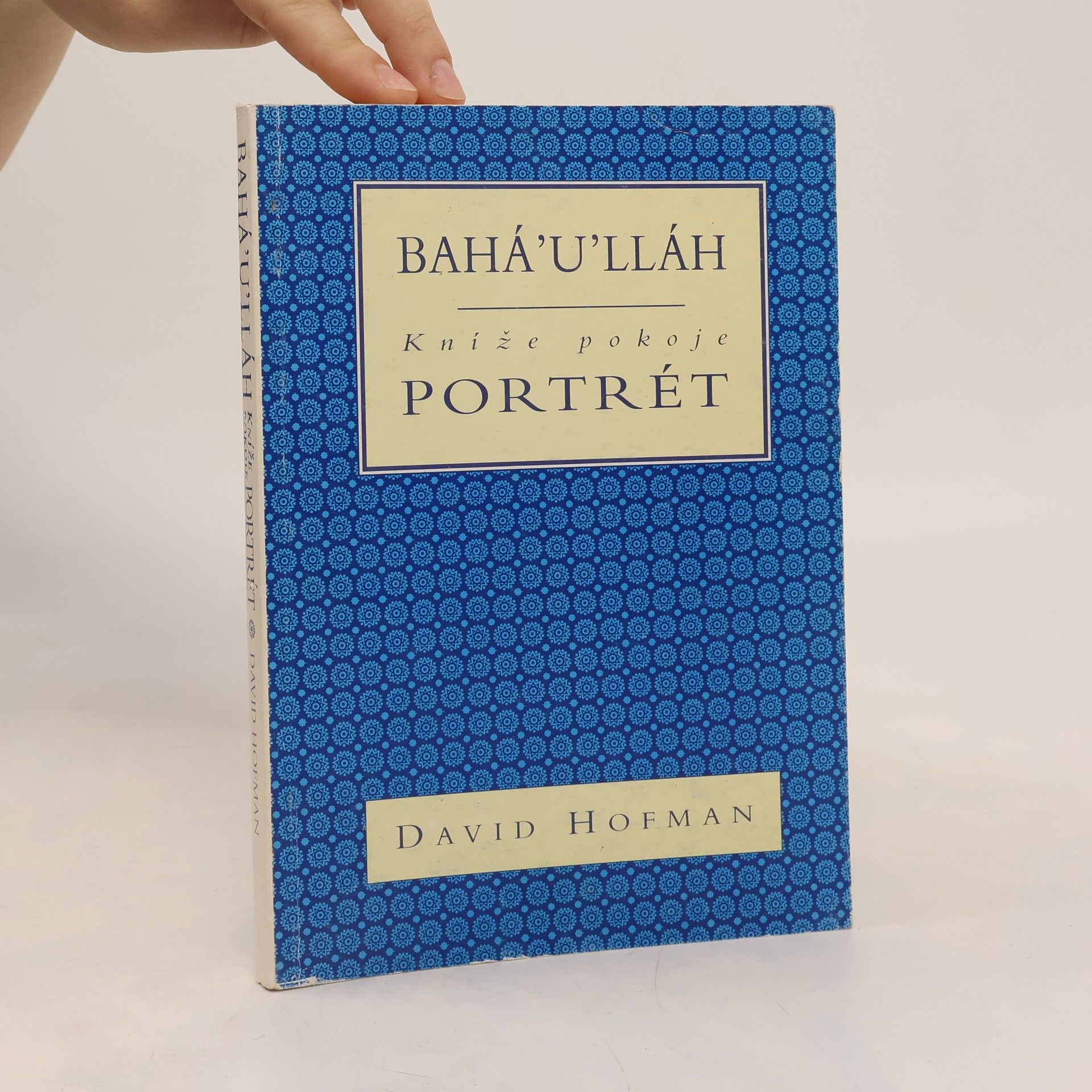 David Hofman Bahá'u'lláh, kníže pokoje : portrét