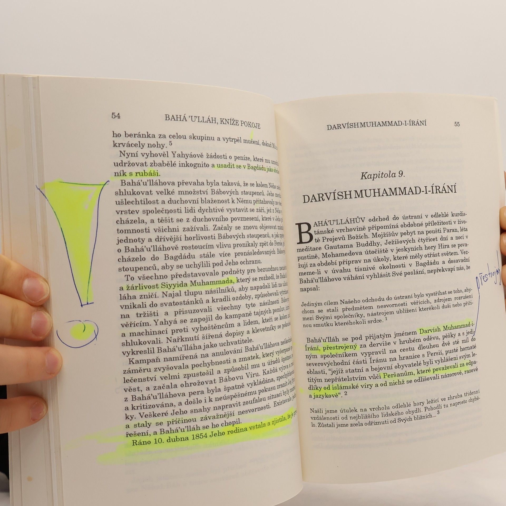 David Hofman Bahá'u'lláh, kníže pokoje : portrét