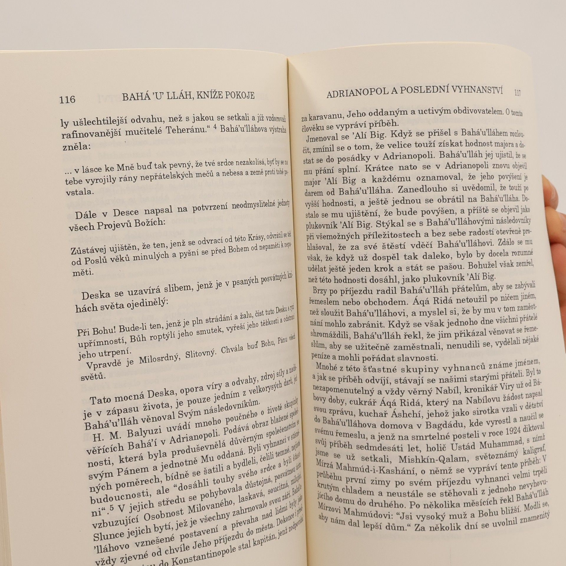 David Hofman Bahá'u'lláh, kníže pokoje : portrét