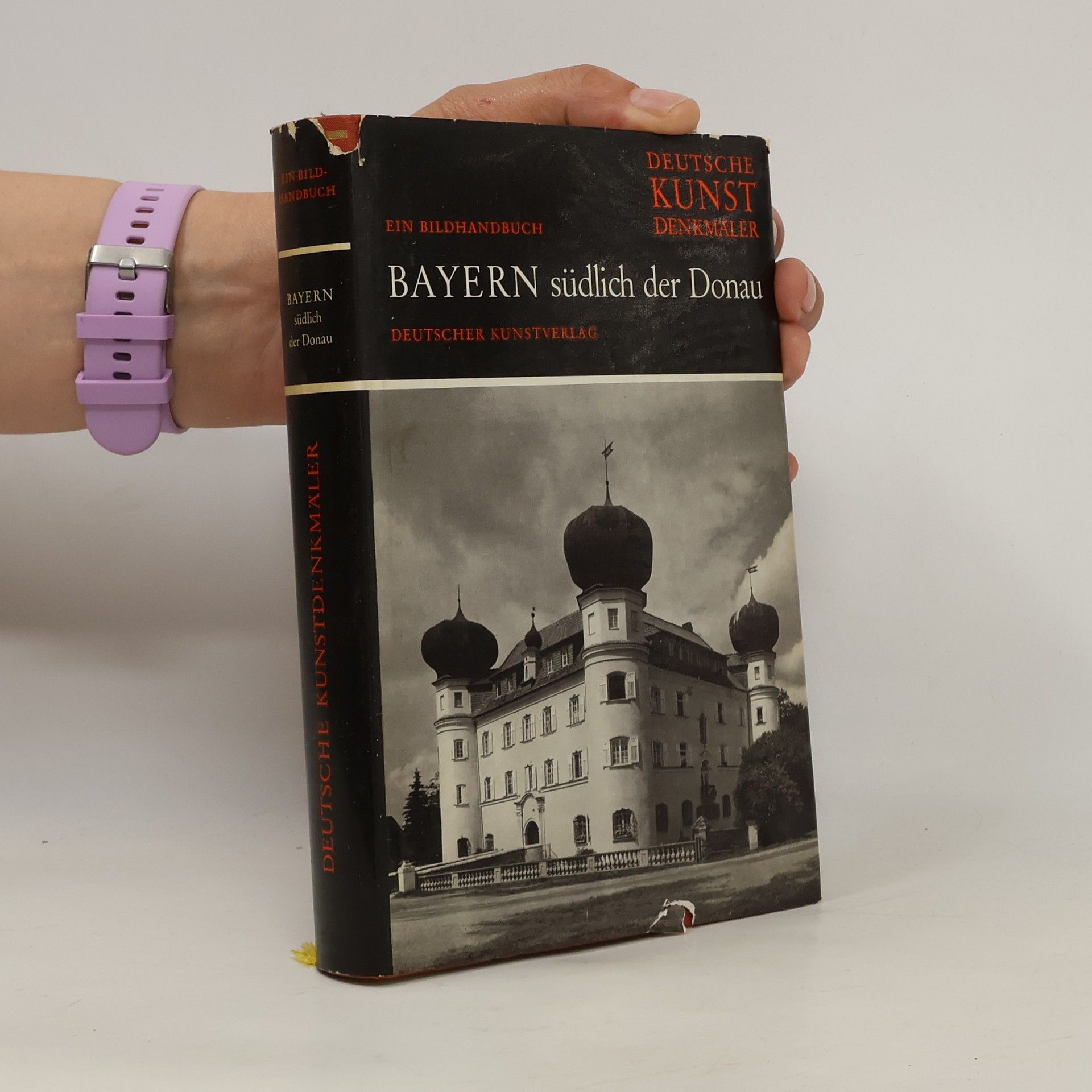 Auteurscollectief Bayern südlich der Donau Deutsche Kunstdenkmäler