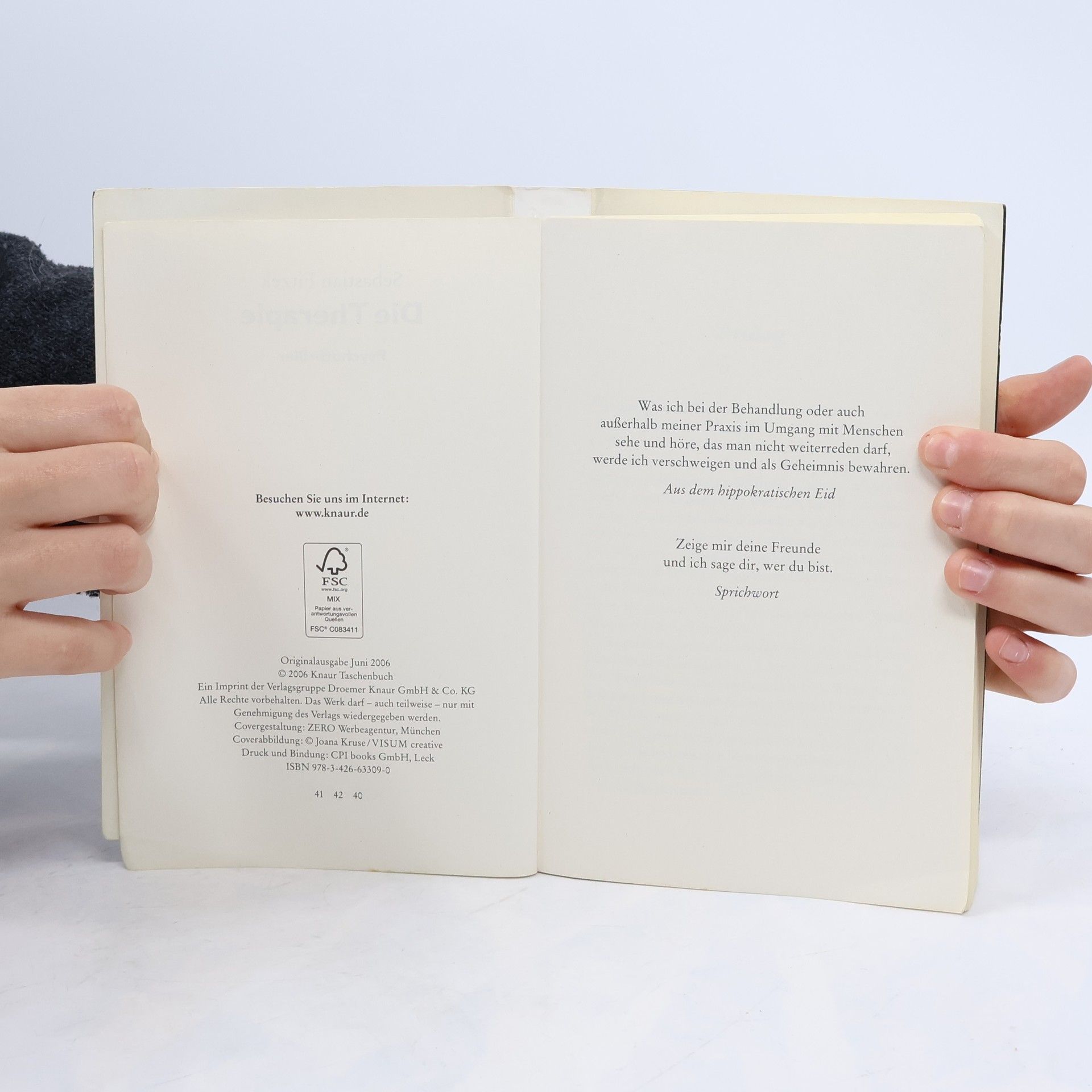 Sebastian Fitzek Die Therapie