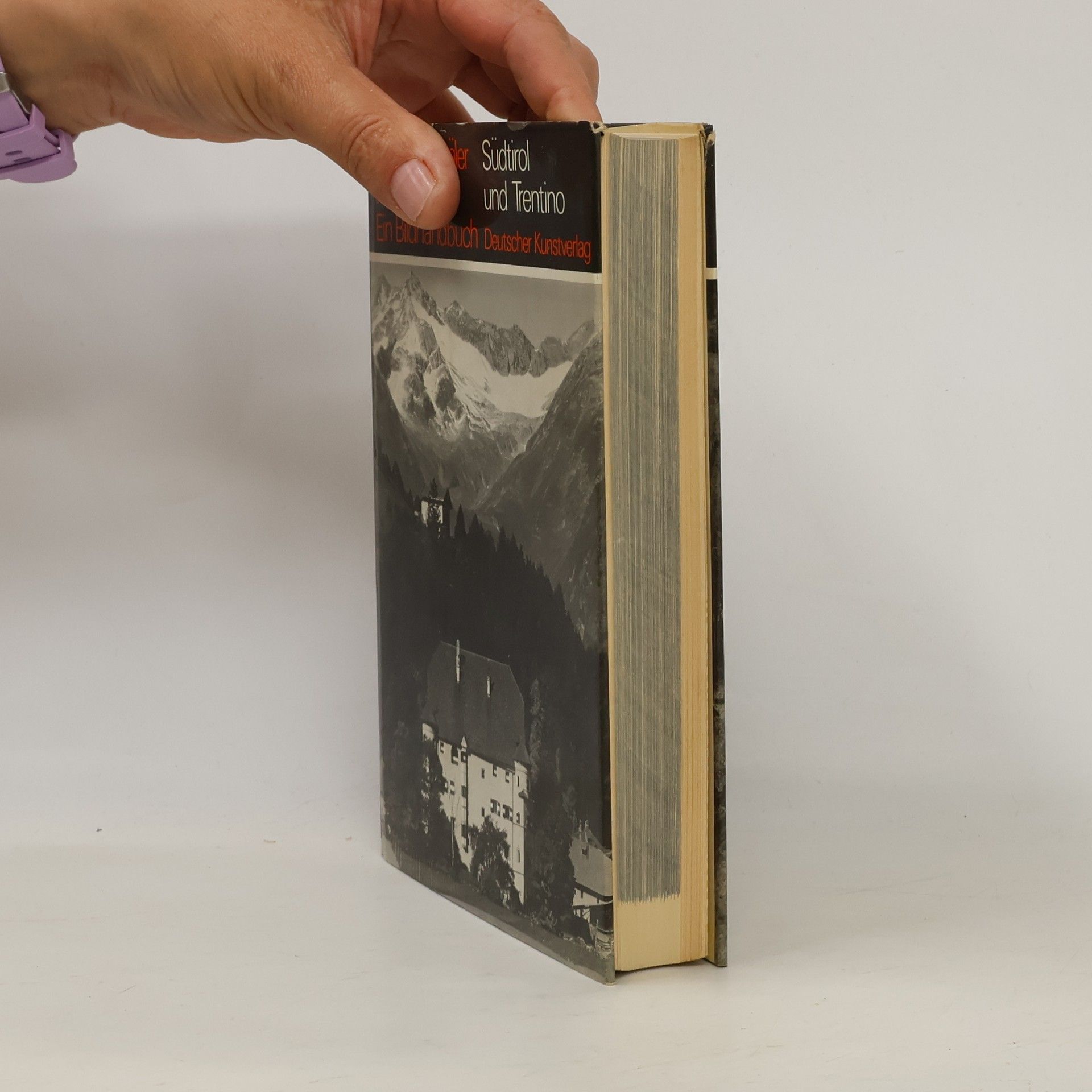 Autorenkollektiv Kunstdenkmäler in Italien