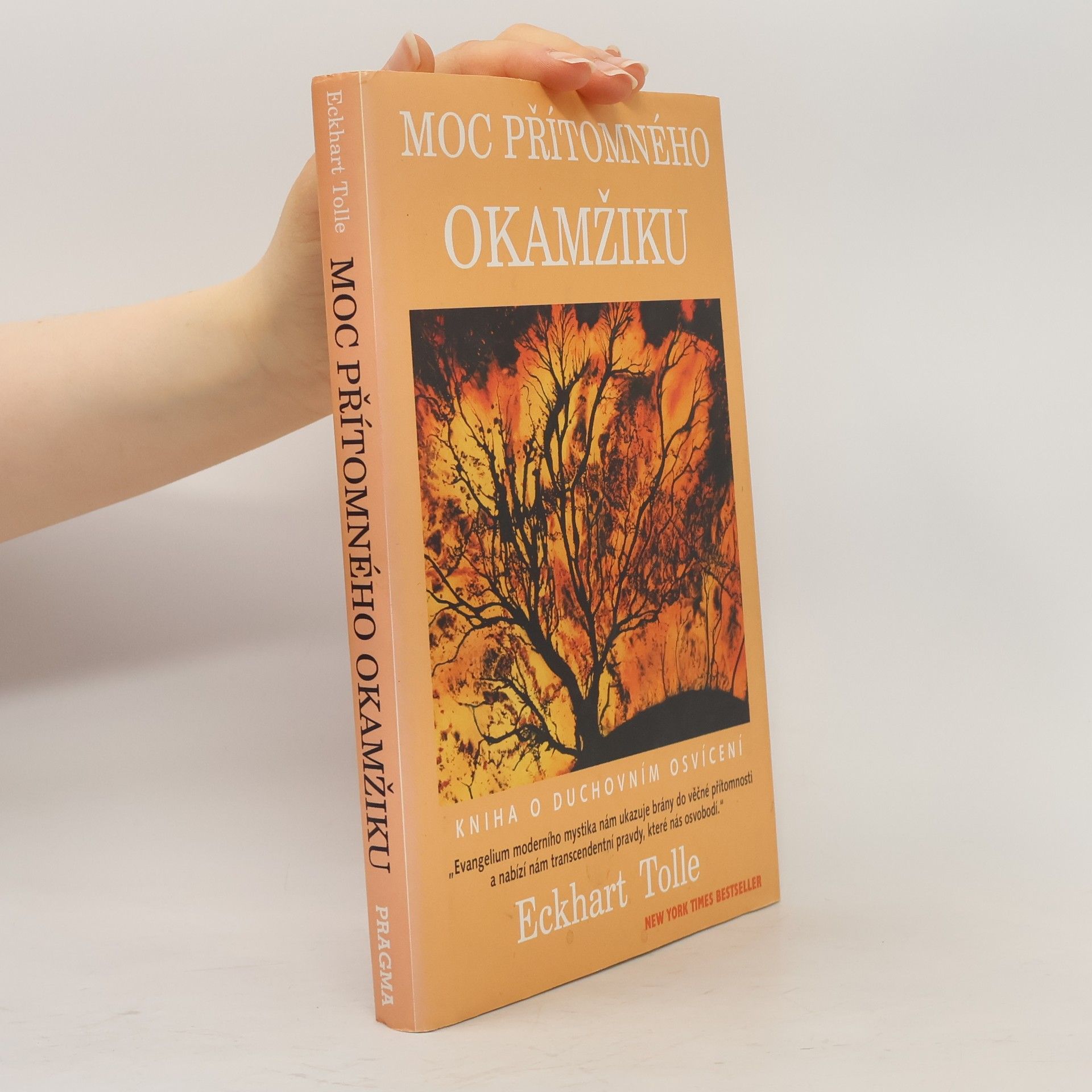Eckhart Tolle Moc přítomného okamžiku