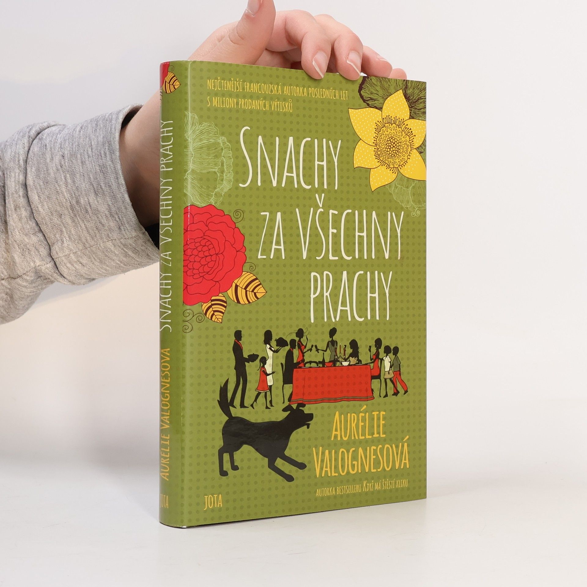 Aurélie Valognes Snachy za všechny prachy