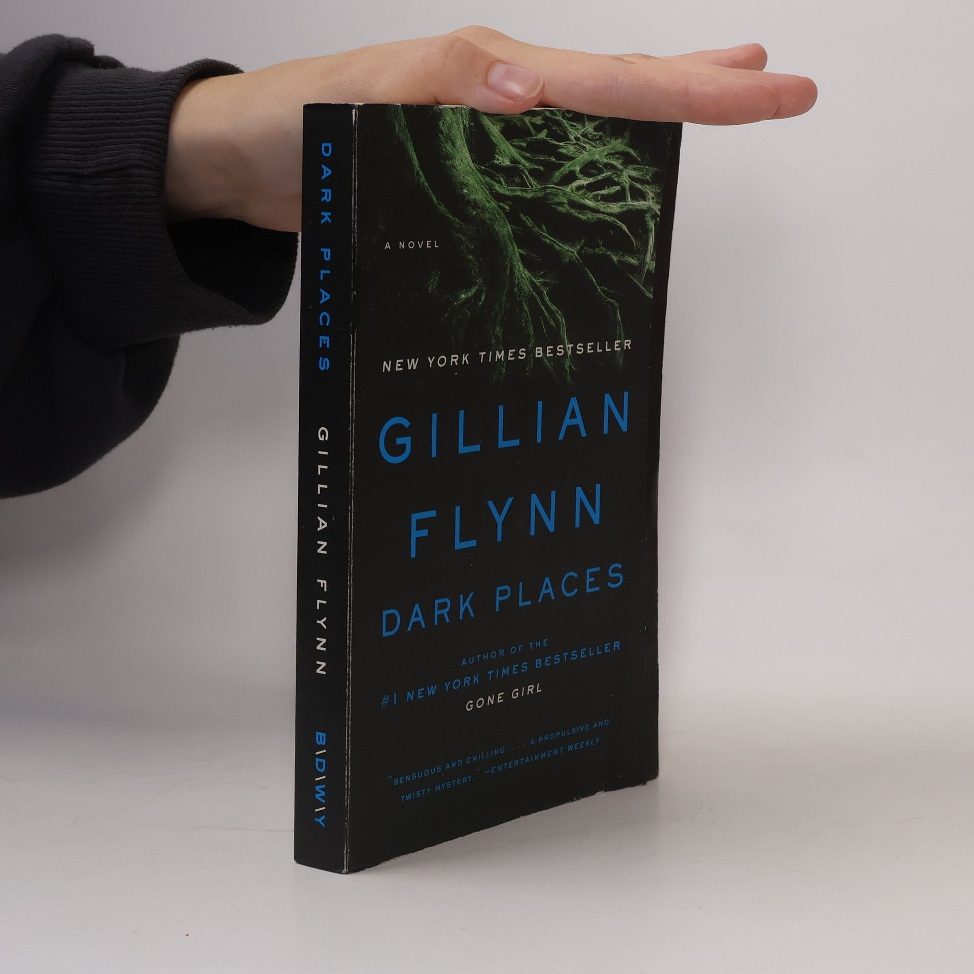 Gillian Flynn Dark places